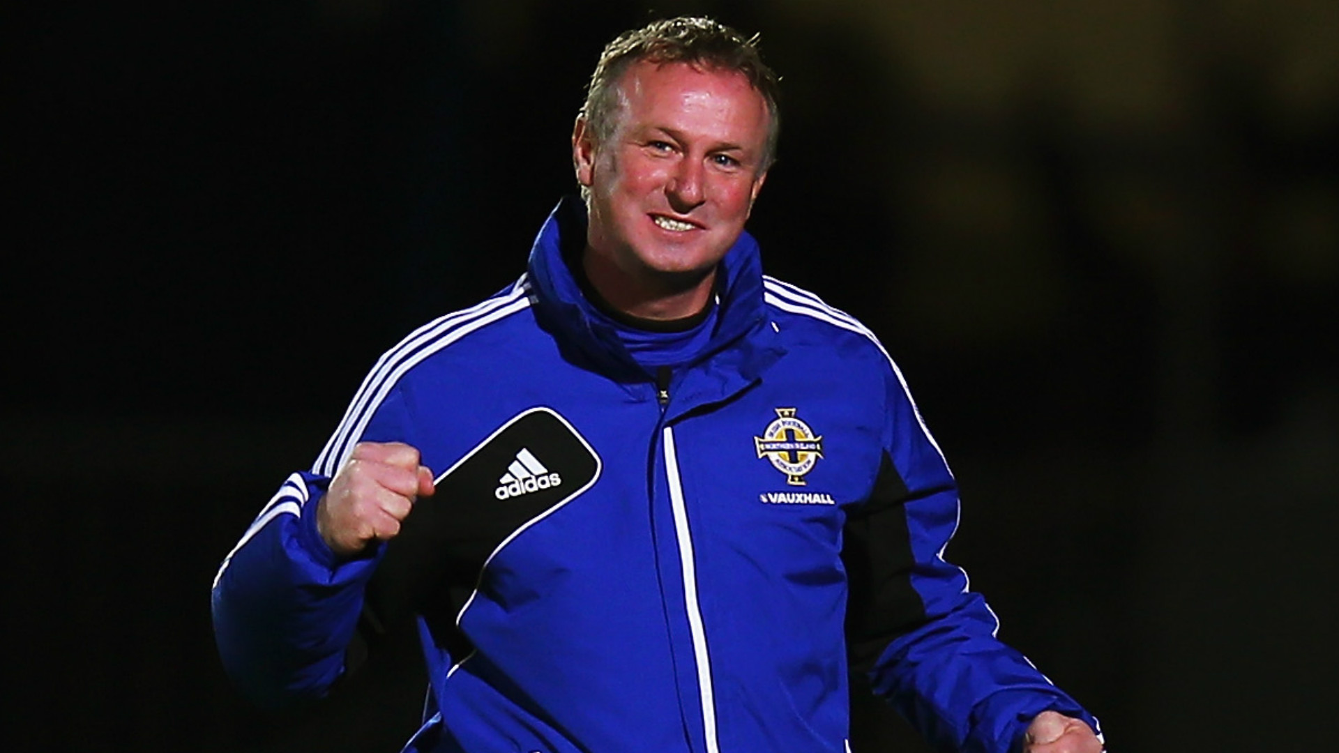 Michael O'Neill Northern Ireland Euro 2016 130913