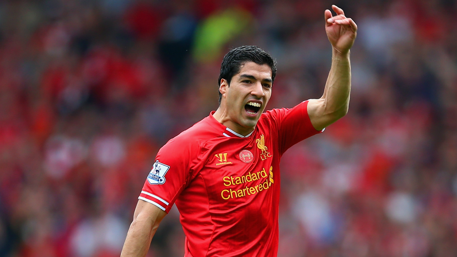 Luis Suarez