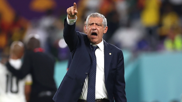 Fernando Santos during the World Cup