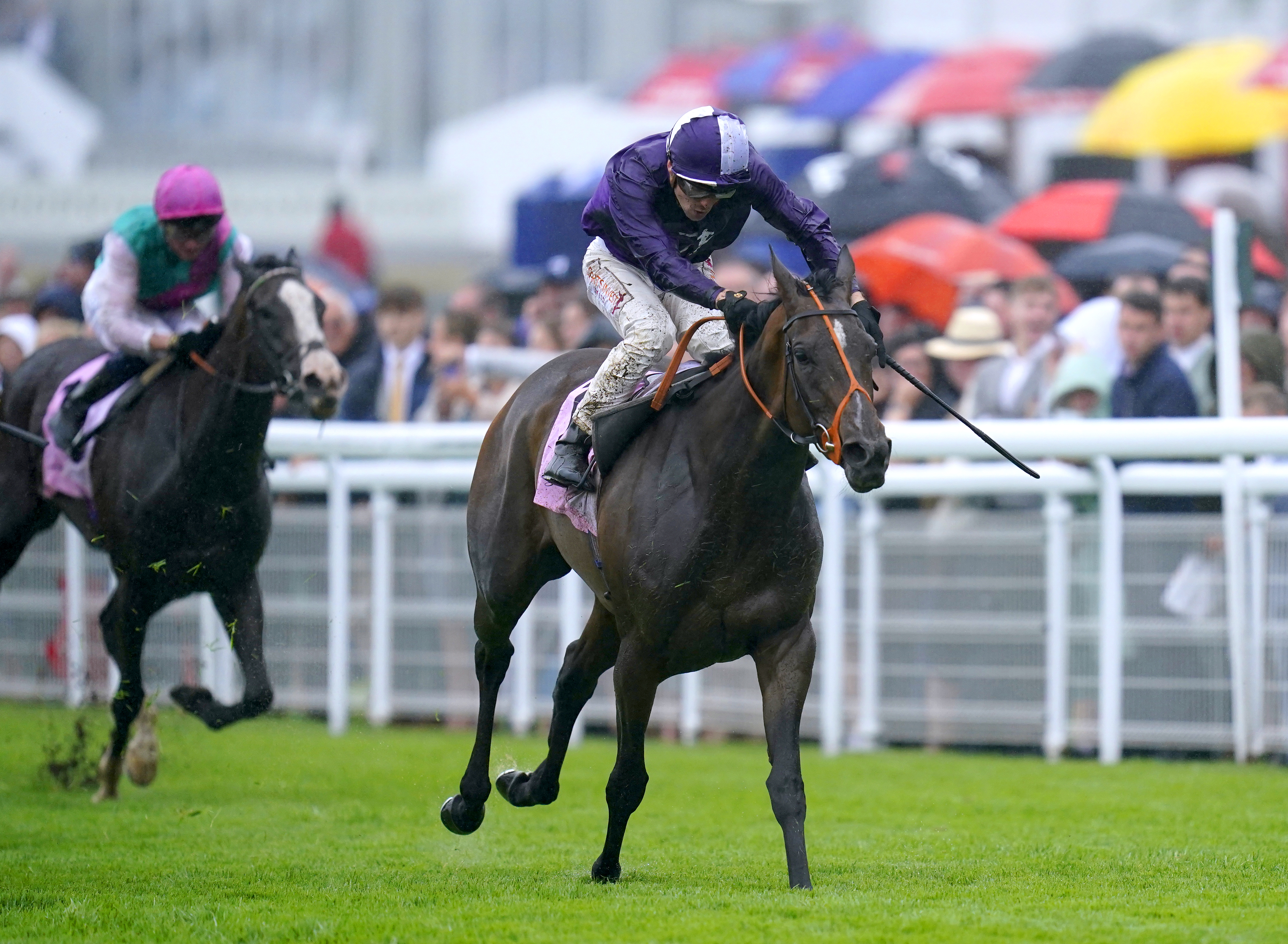 Magical Sunset relished the ground at Goodwood