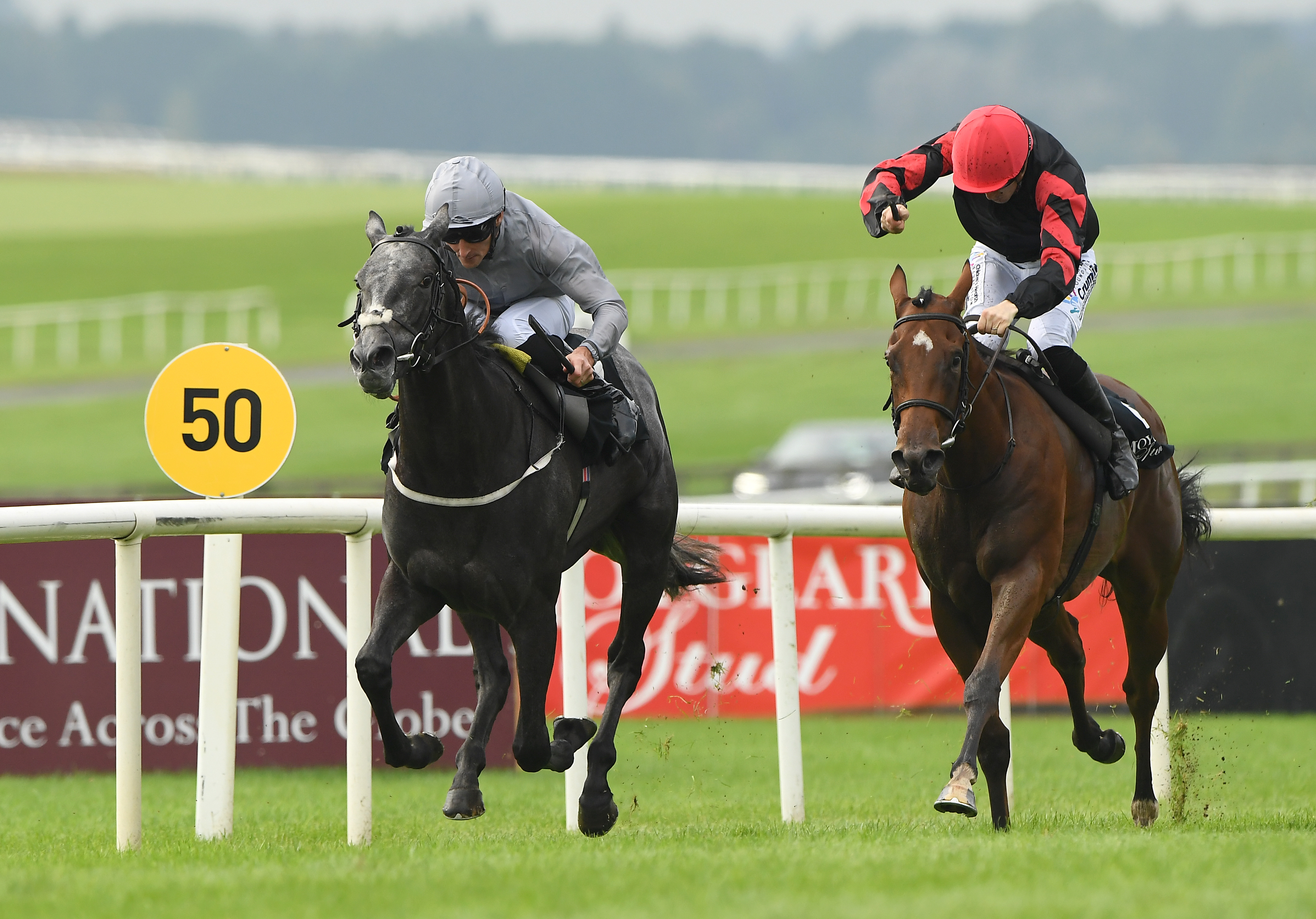 Fallen Angel was a big race winner at the Curragh