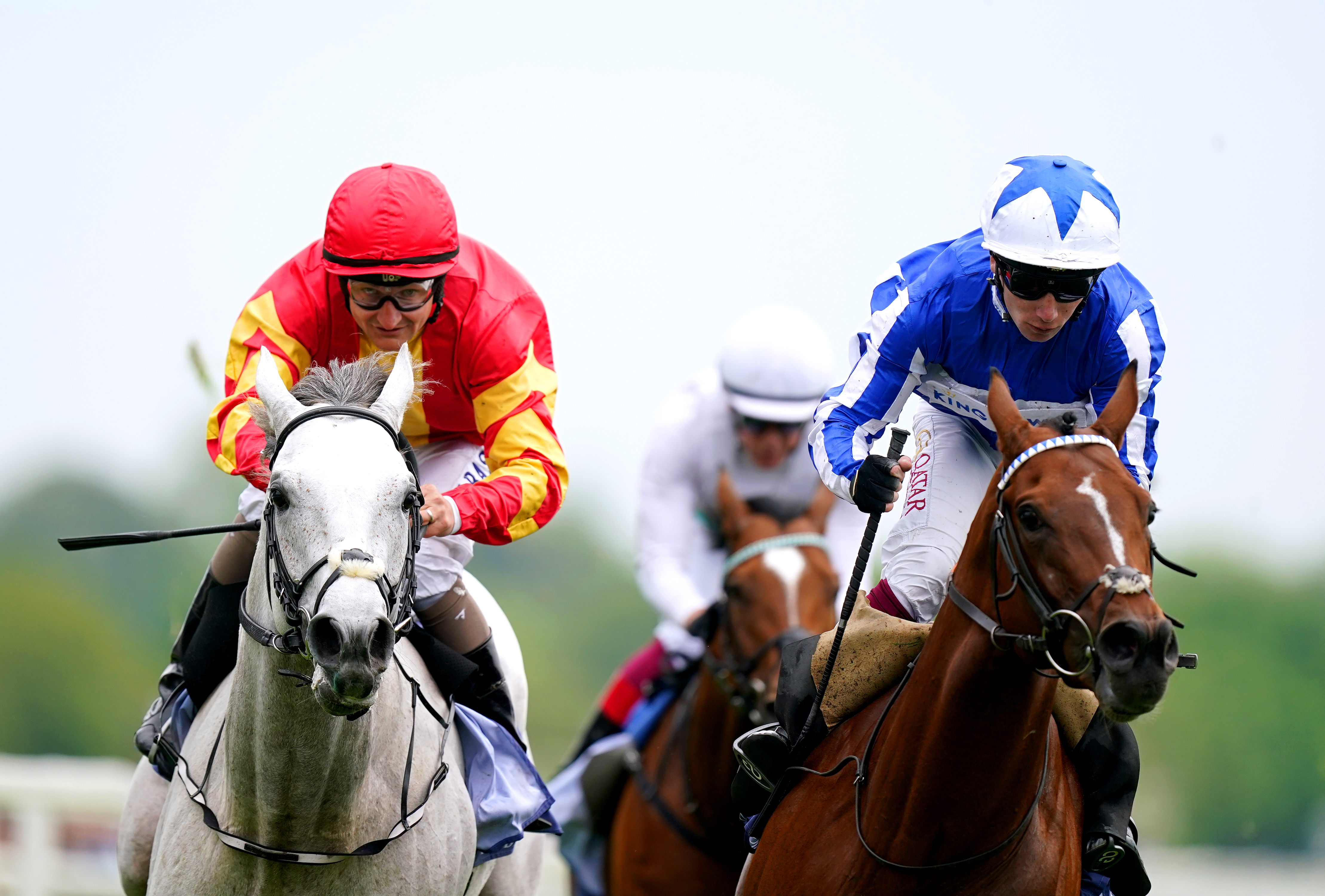 White Birch (left) is narrowly beaten by The Foxes in the Dante Stakes at York