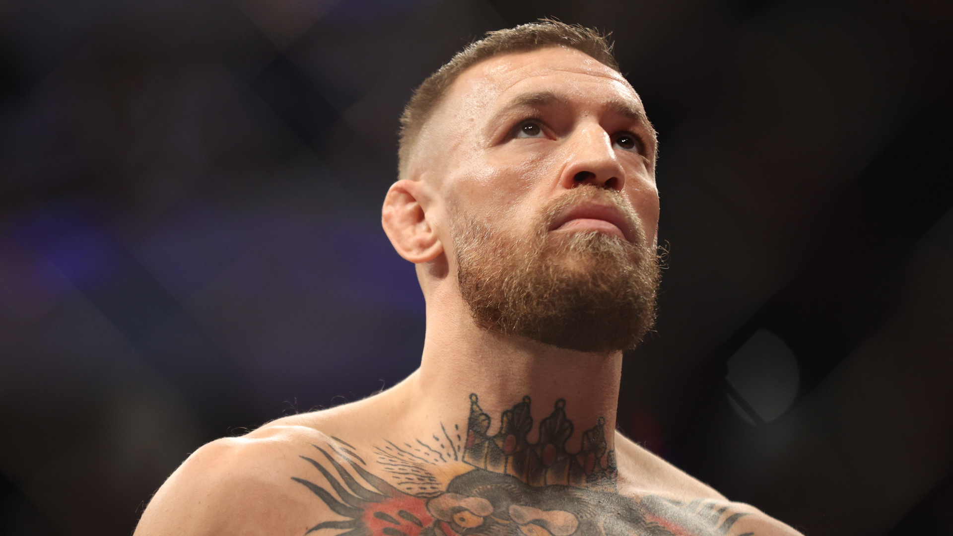 Dana White has suggested Conor McGregor could fight in the UFC again later this year