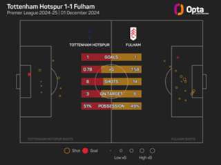 Silva expects tough battle for European qualification as Fulham host Tottenham