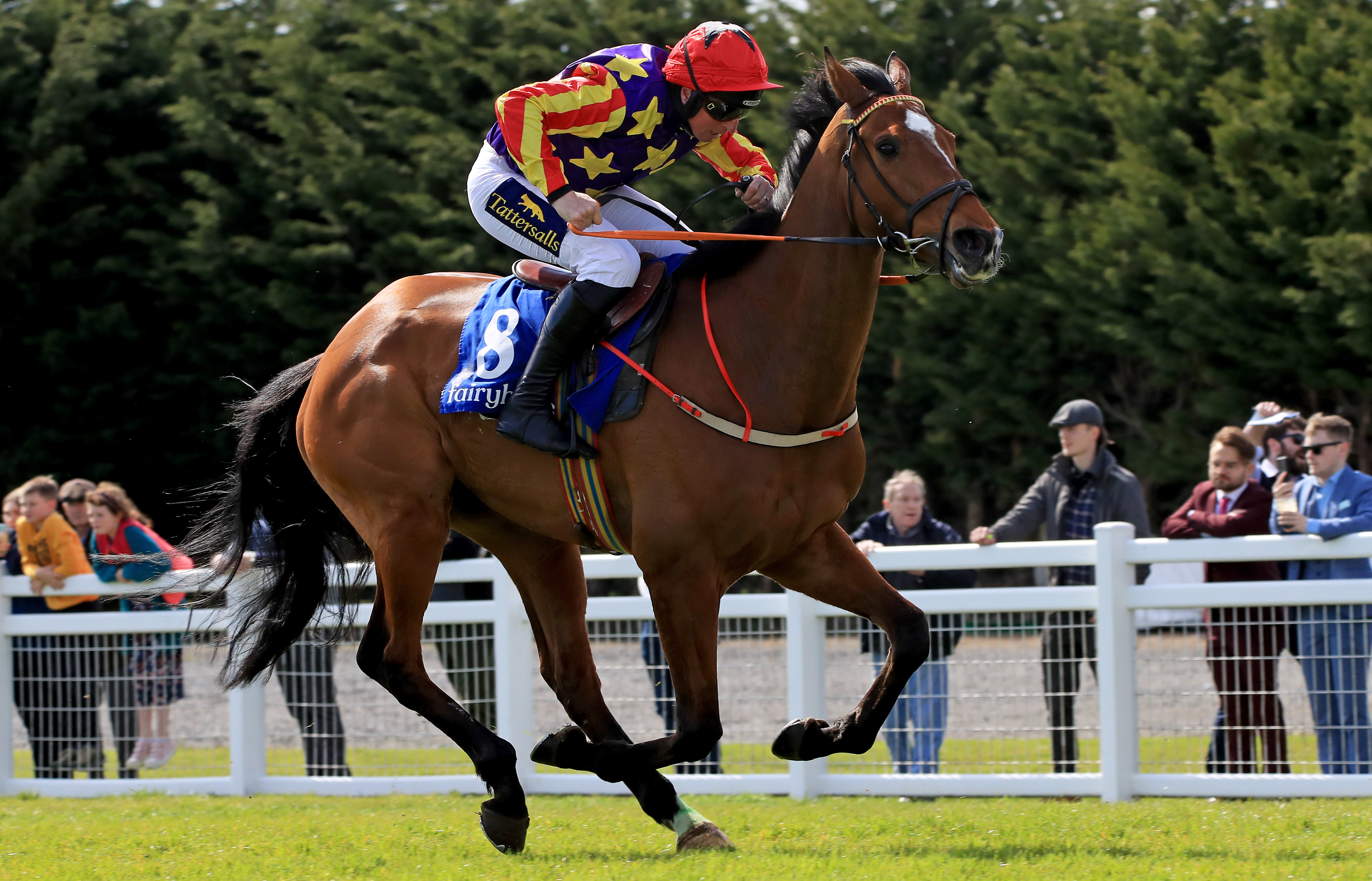 Vaucelet could yet head to the Cheltenham Festival