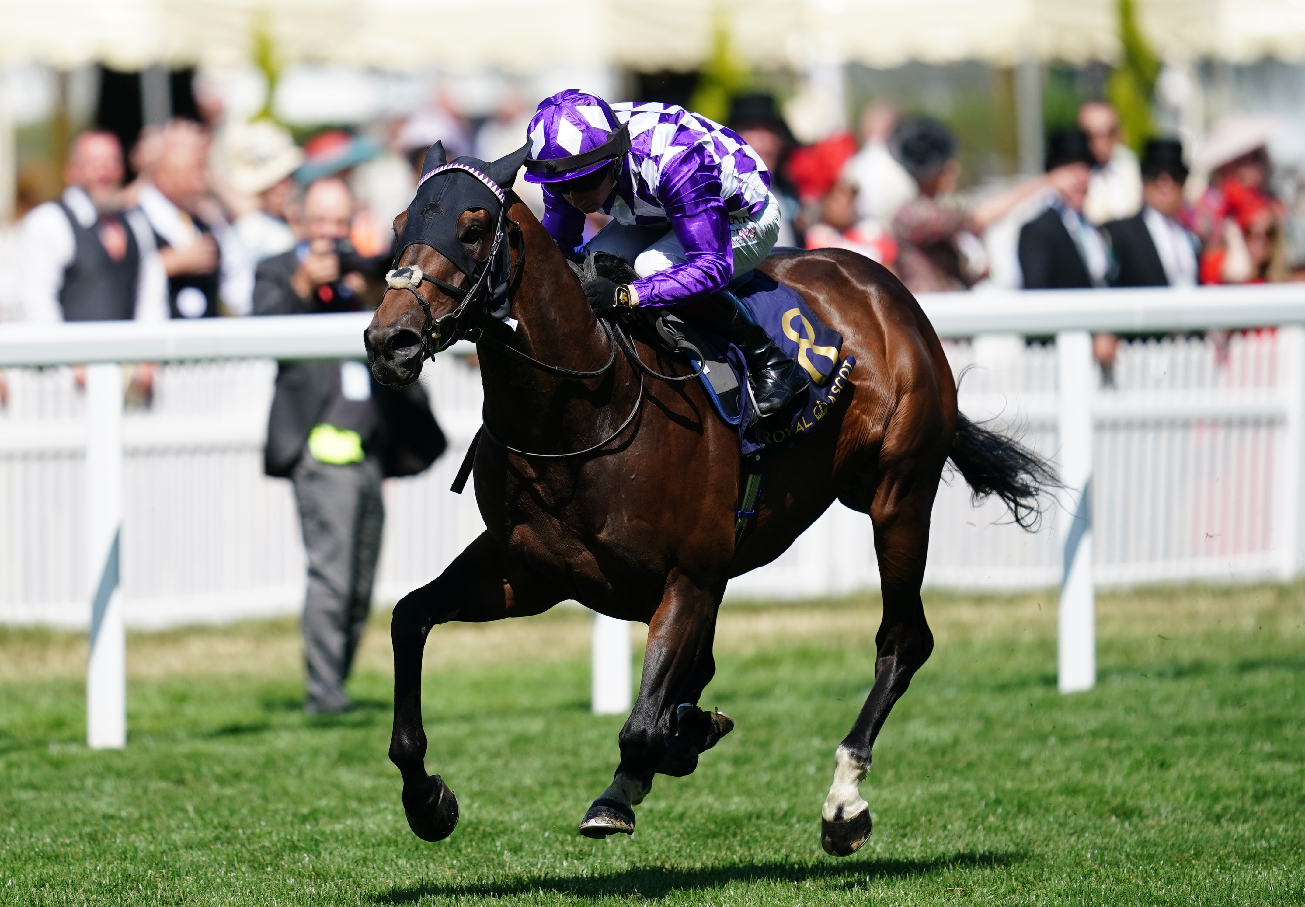Shaquille galloping to victory at Royal Ascot