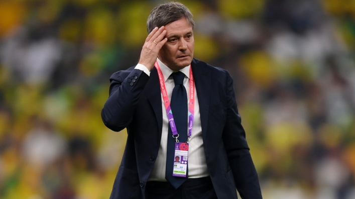 Dragan Stojkovic believes Serbia could have given Brazil a better game with a fully-fit squad