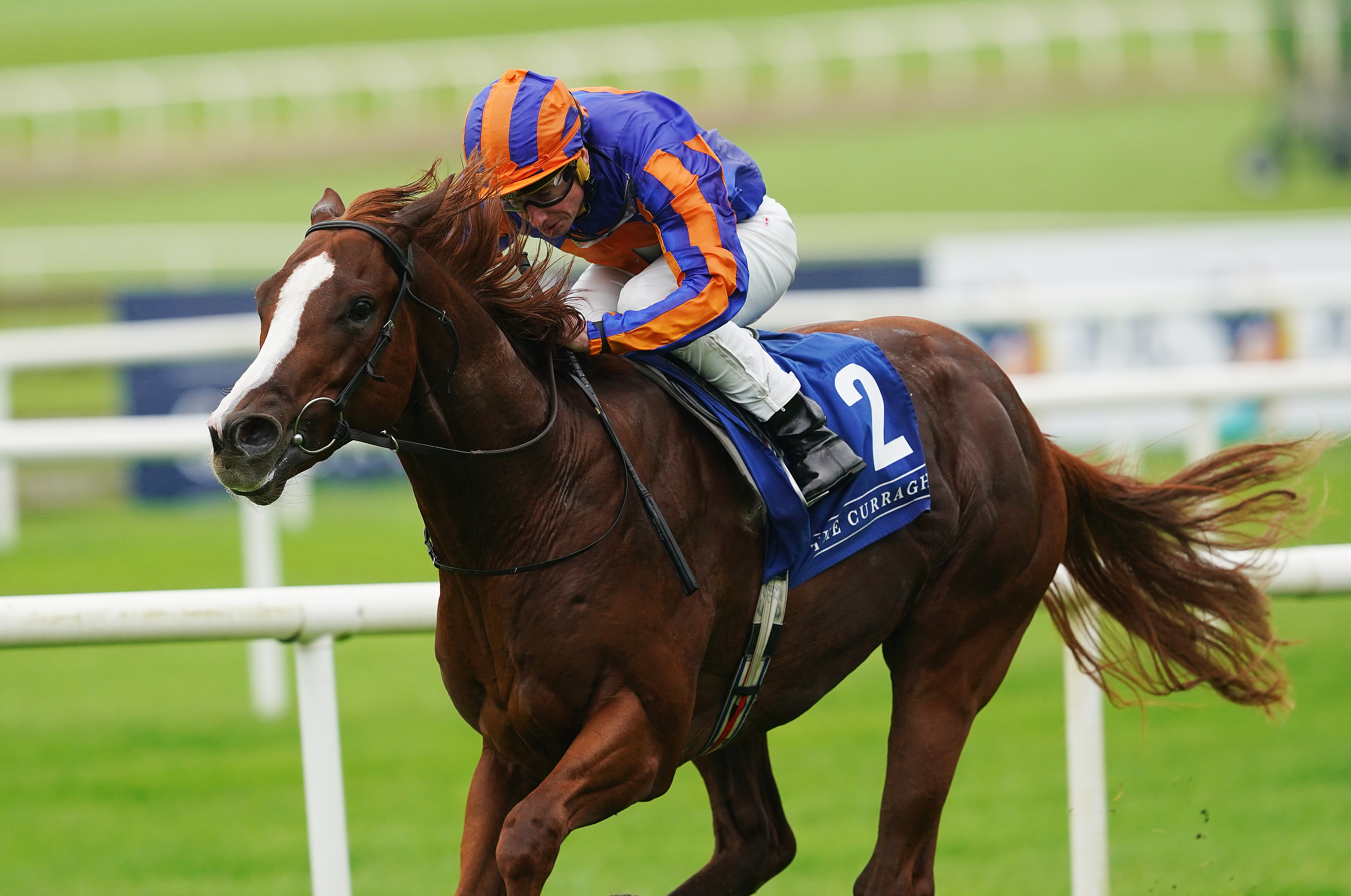 Gasper De Lemos winning at the Curragh