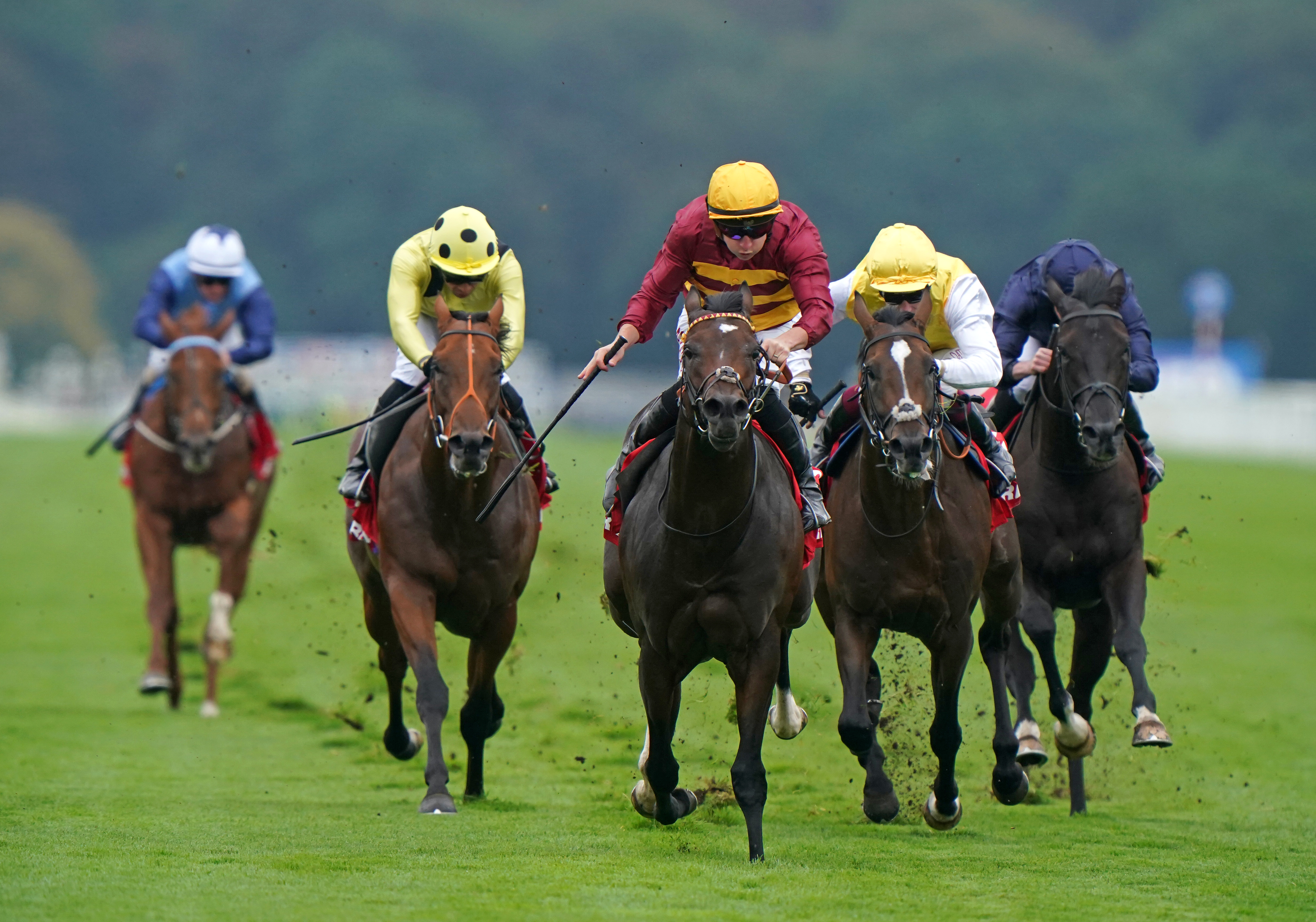 Sunway (right) chased home Iberian at Doncaster