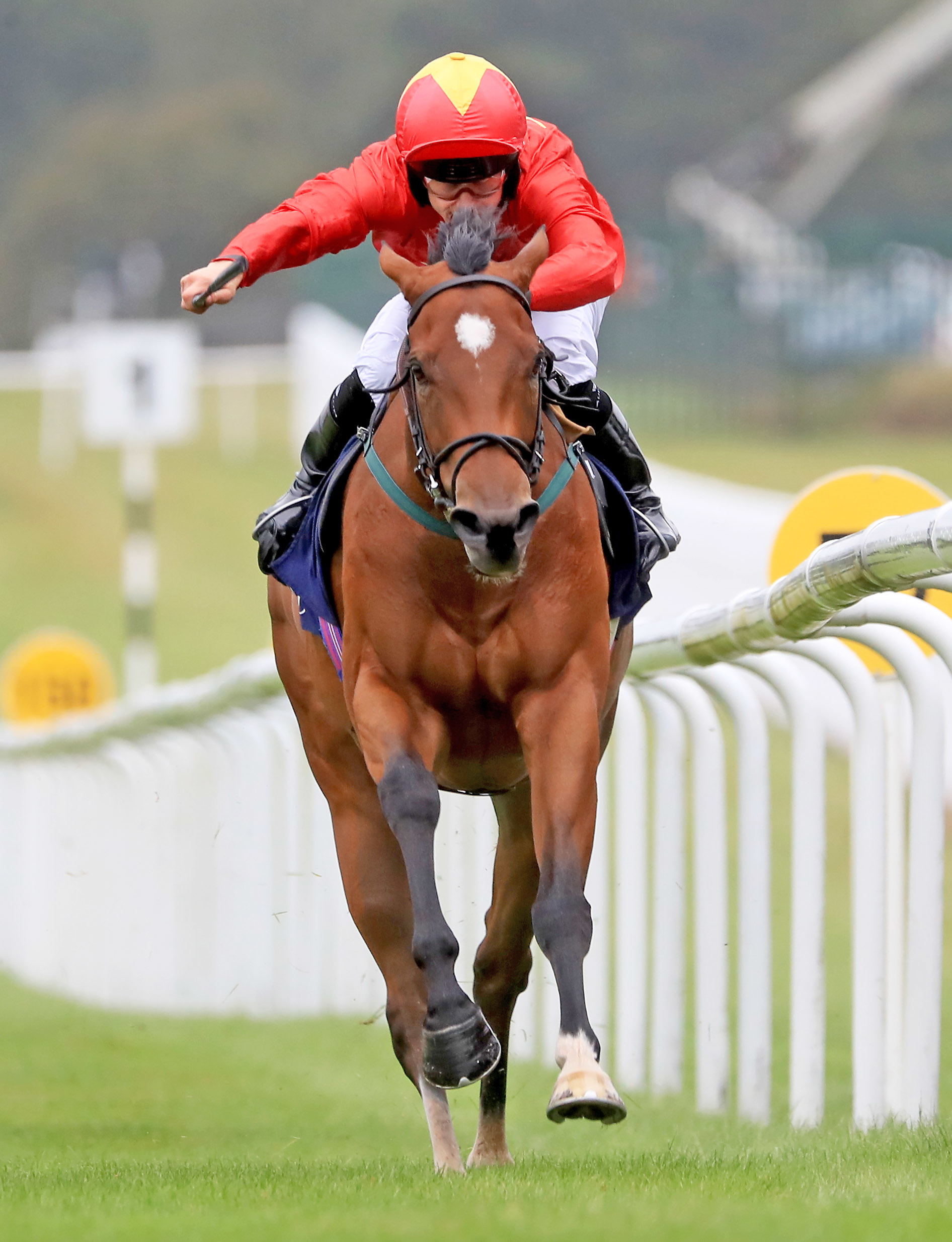 Highfield Princess winning the Flying Five