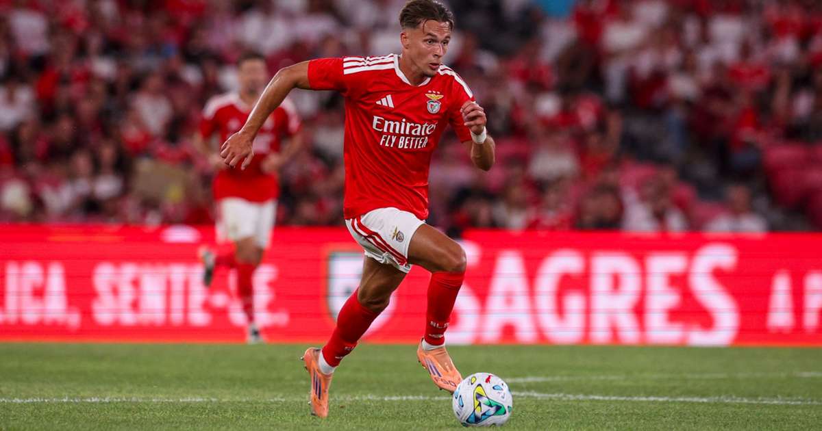 Newcastle complete £29.5m signing of Benfica defender Amar Dedic