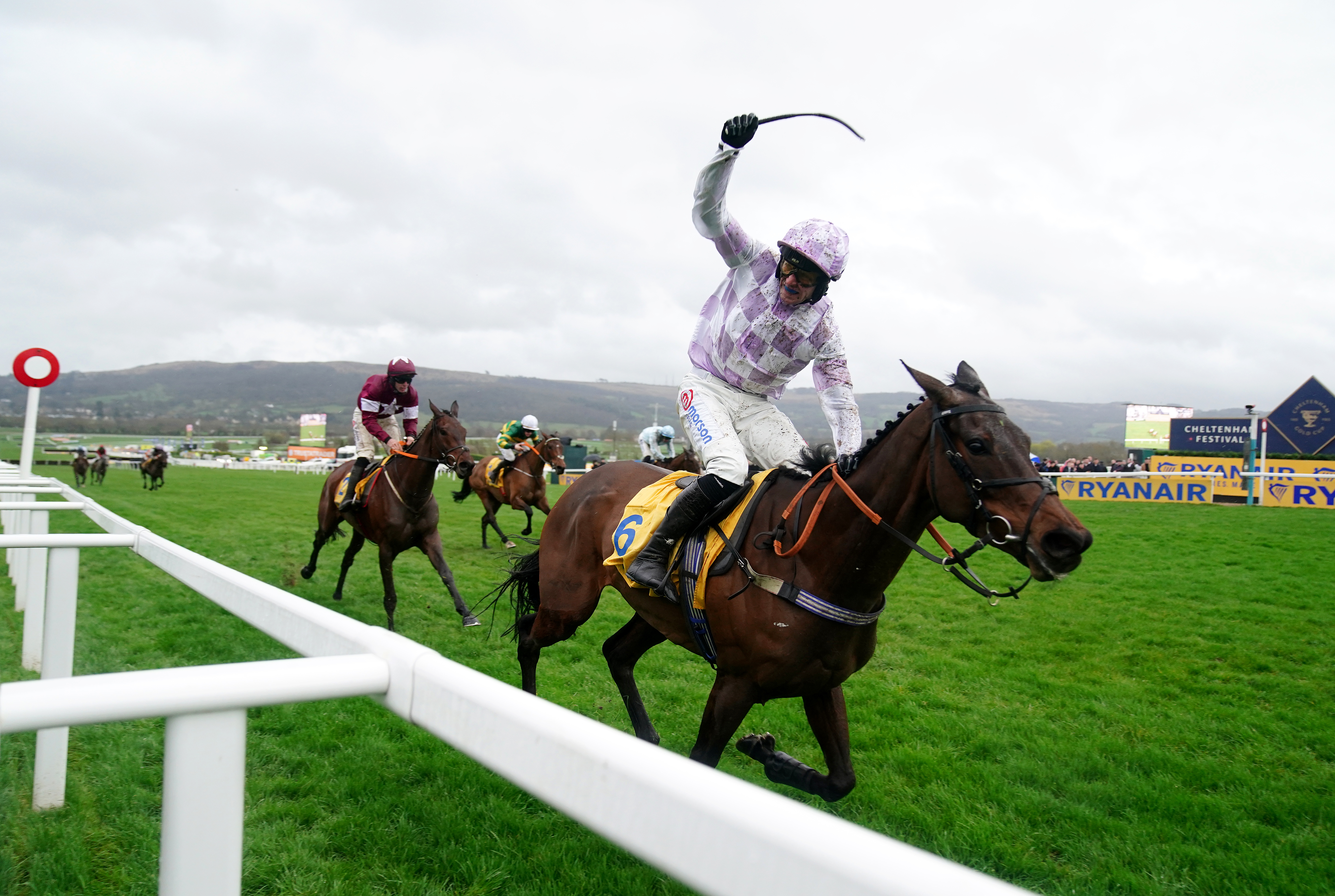 Golden Ace winning at the Cheltenham Festival
