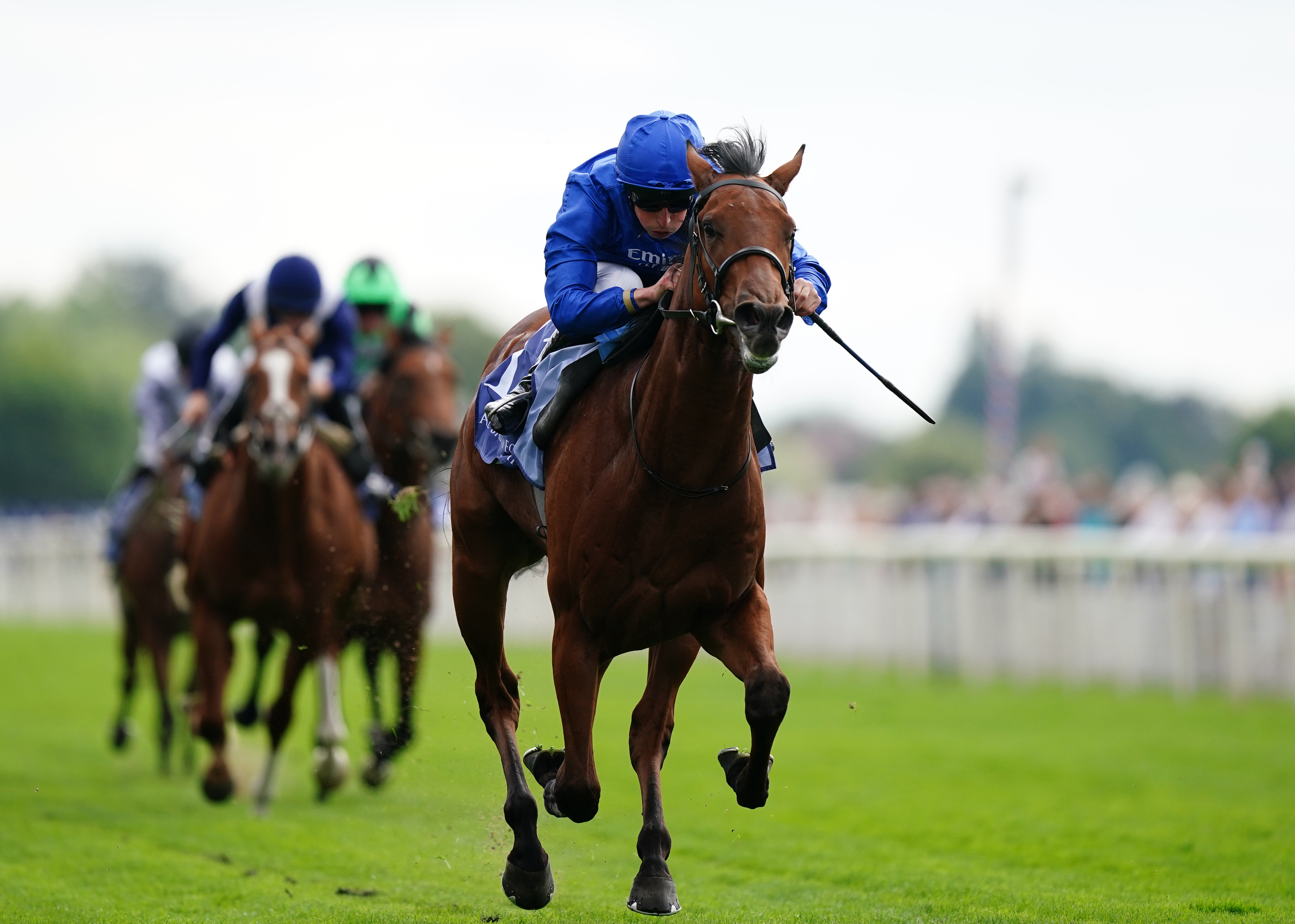 Noble Style drops back to a sprint trip at Newbury