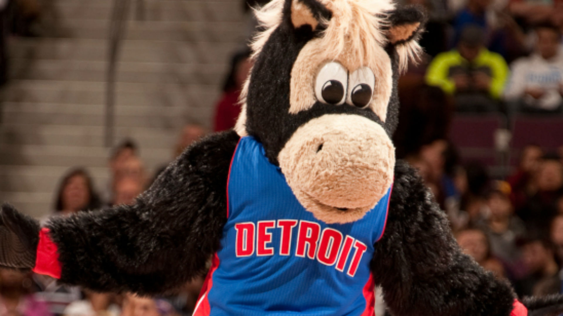 Pistons mascot Hooper goes berzerk during warmups Sporting News