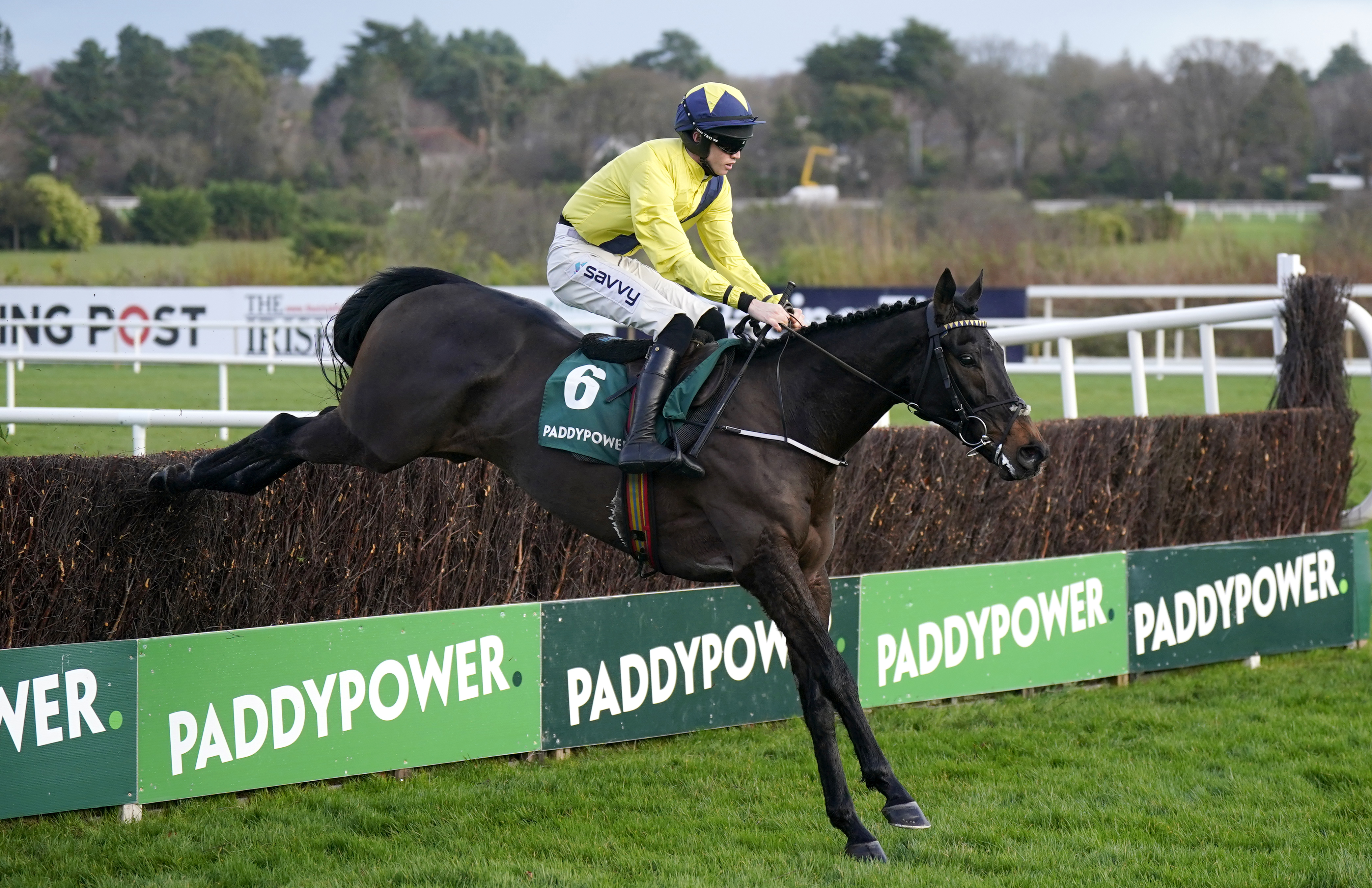 Marine Nationale barely put a foot wrong on his chasing debut