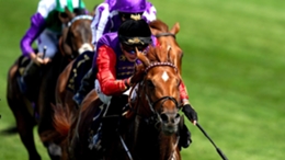 Desert Hero could provide The King with Classic glory in the St Leger (John Walton/PA)