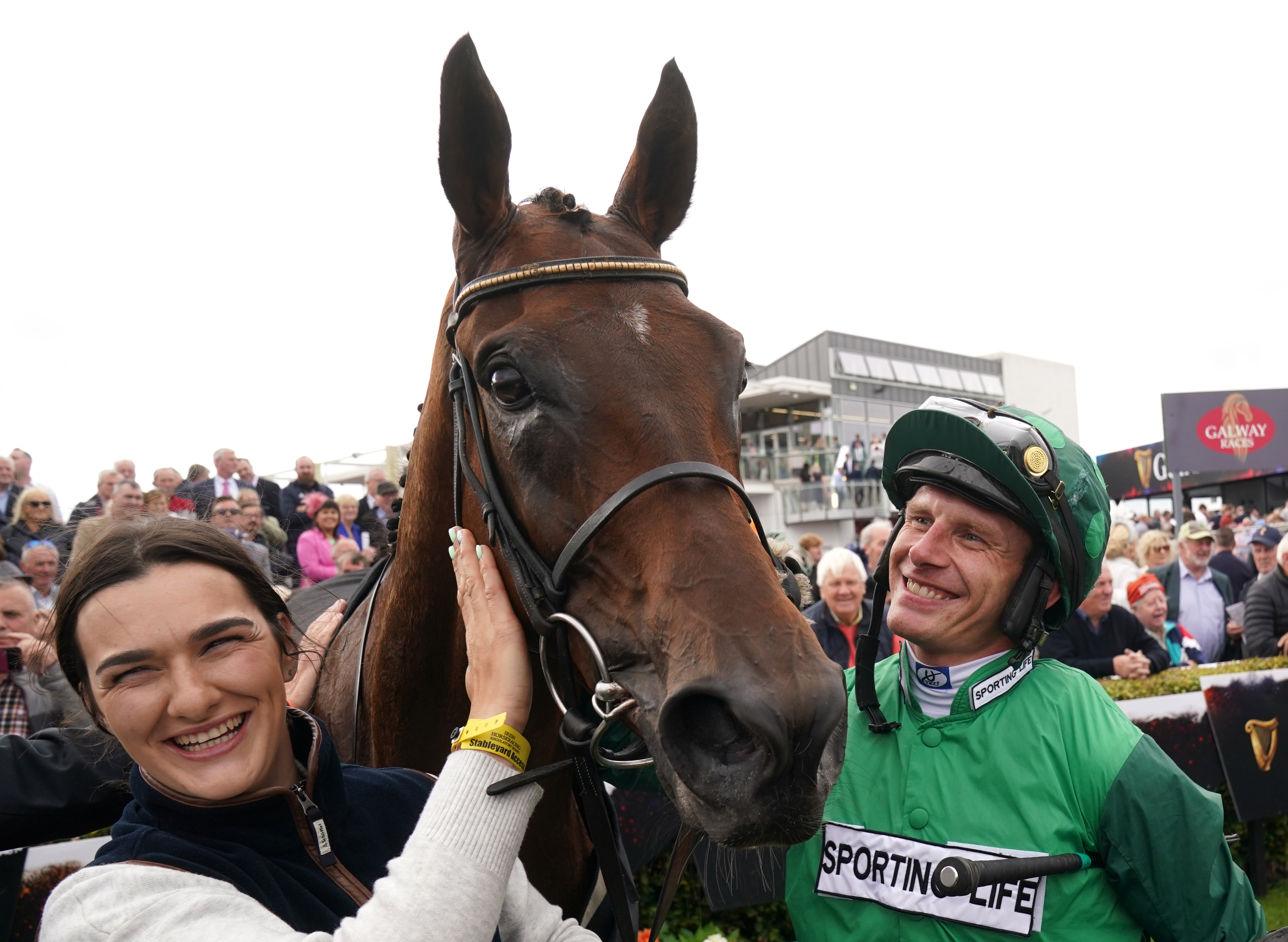 Paul Townend looks admiringly at Zarak The Brave