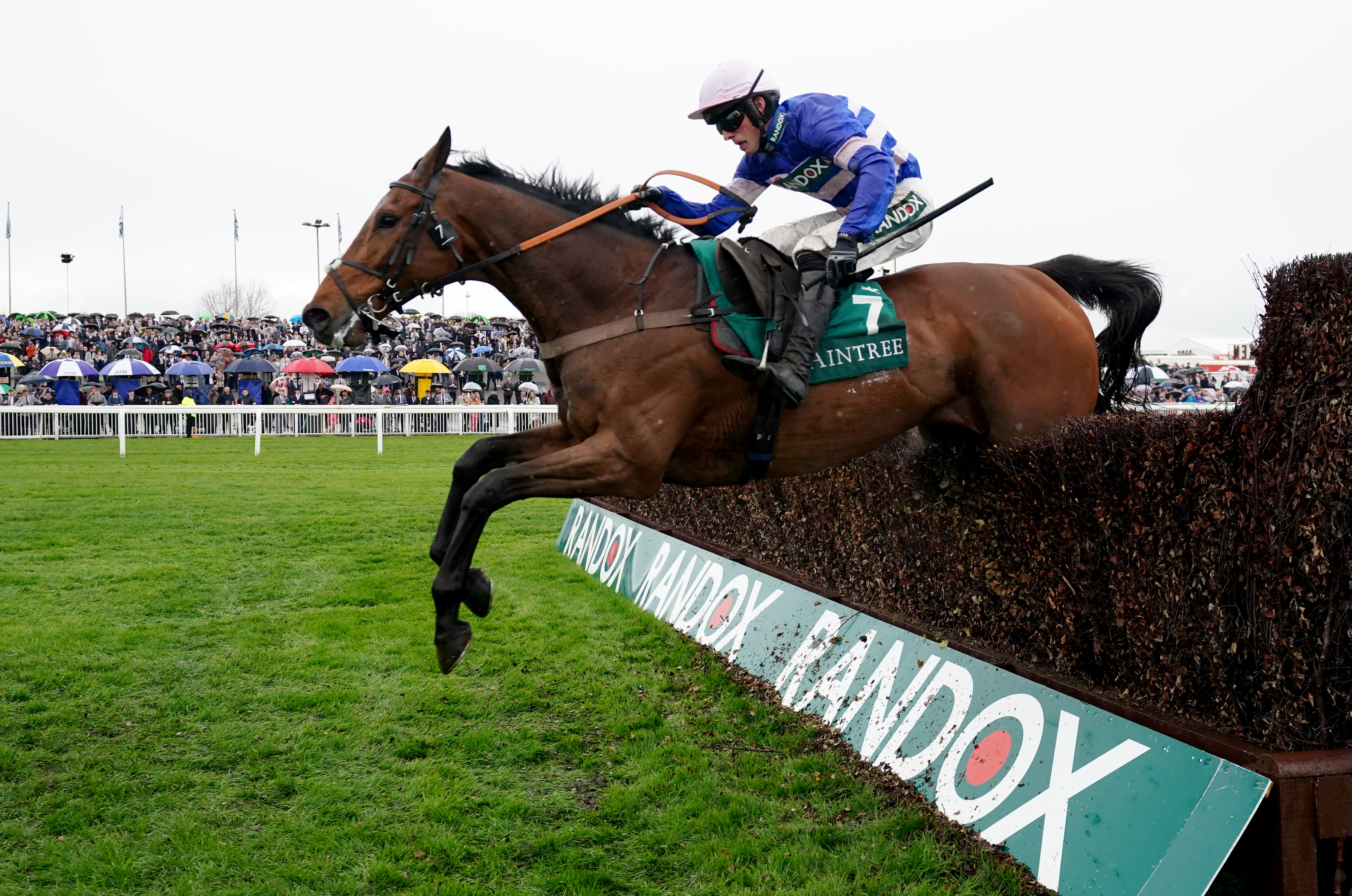 Pic D’Orhy in action at Aintree last season