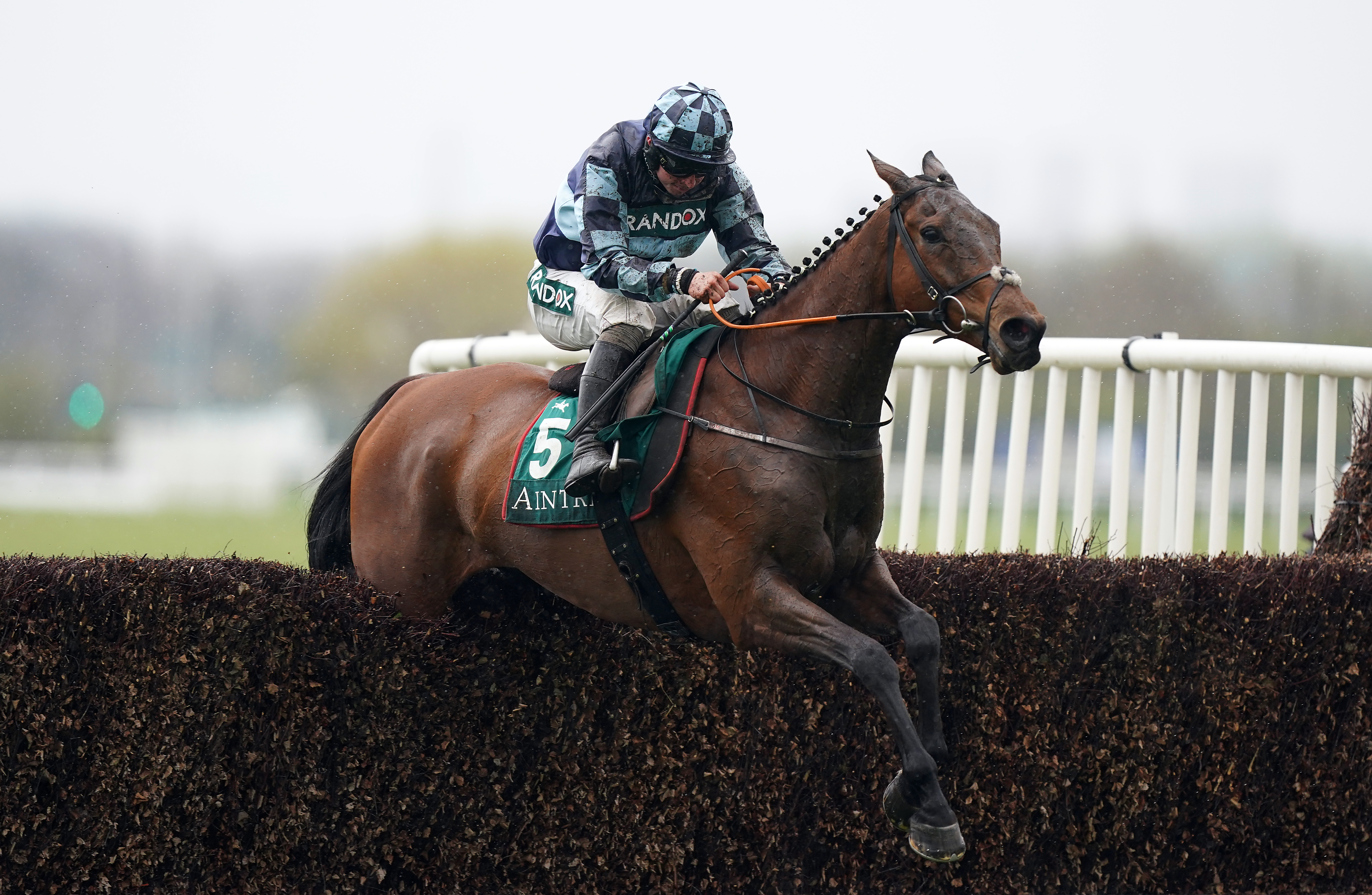 Thomas Darby carries Olly Murphy's hopes