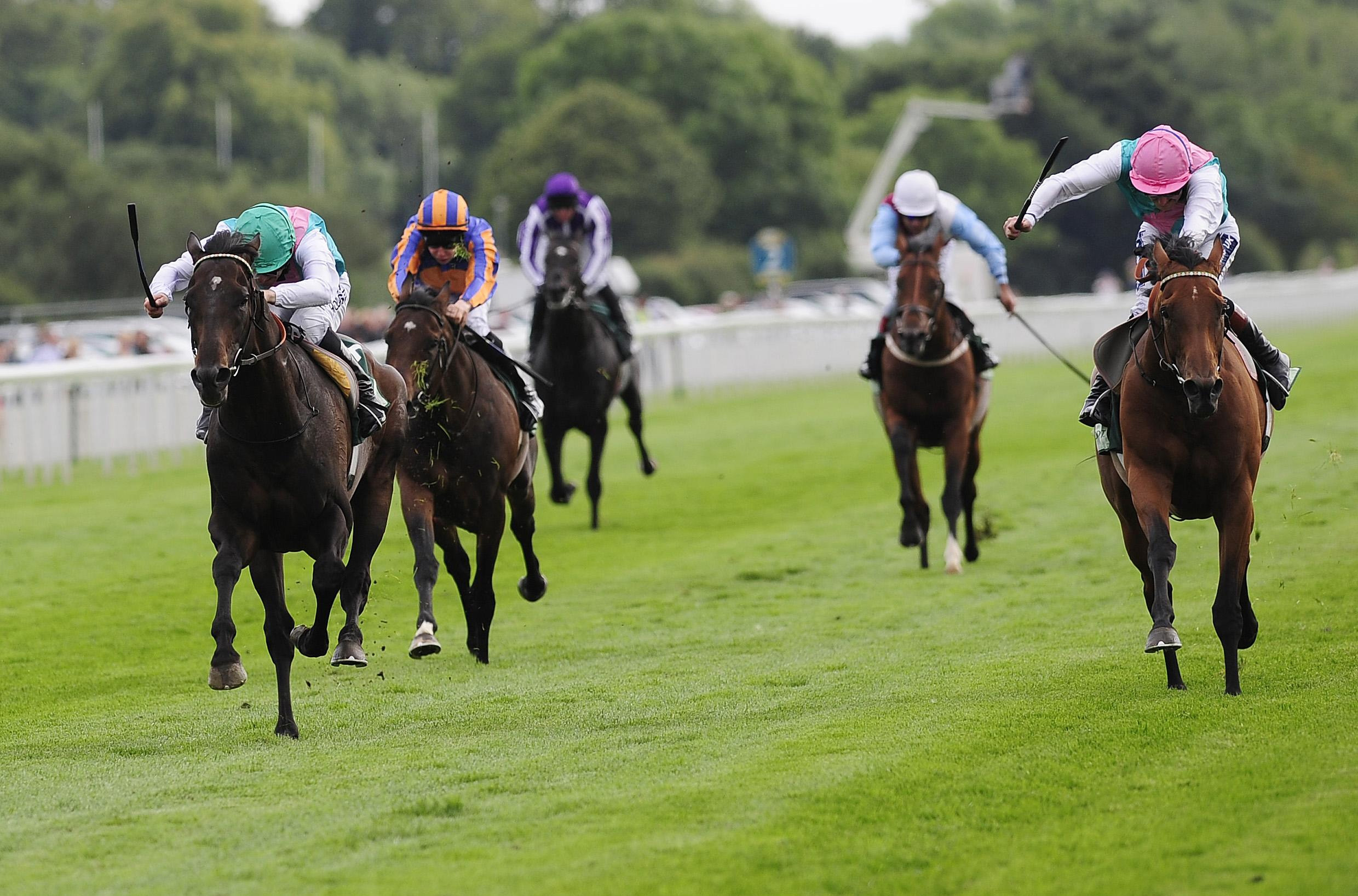 Twice Over (left) denies stablemate Midday in the Juddmonte International