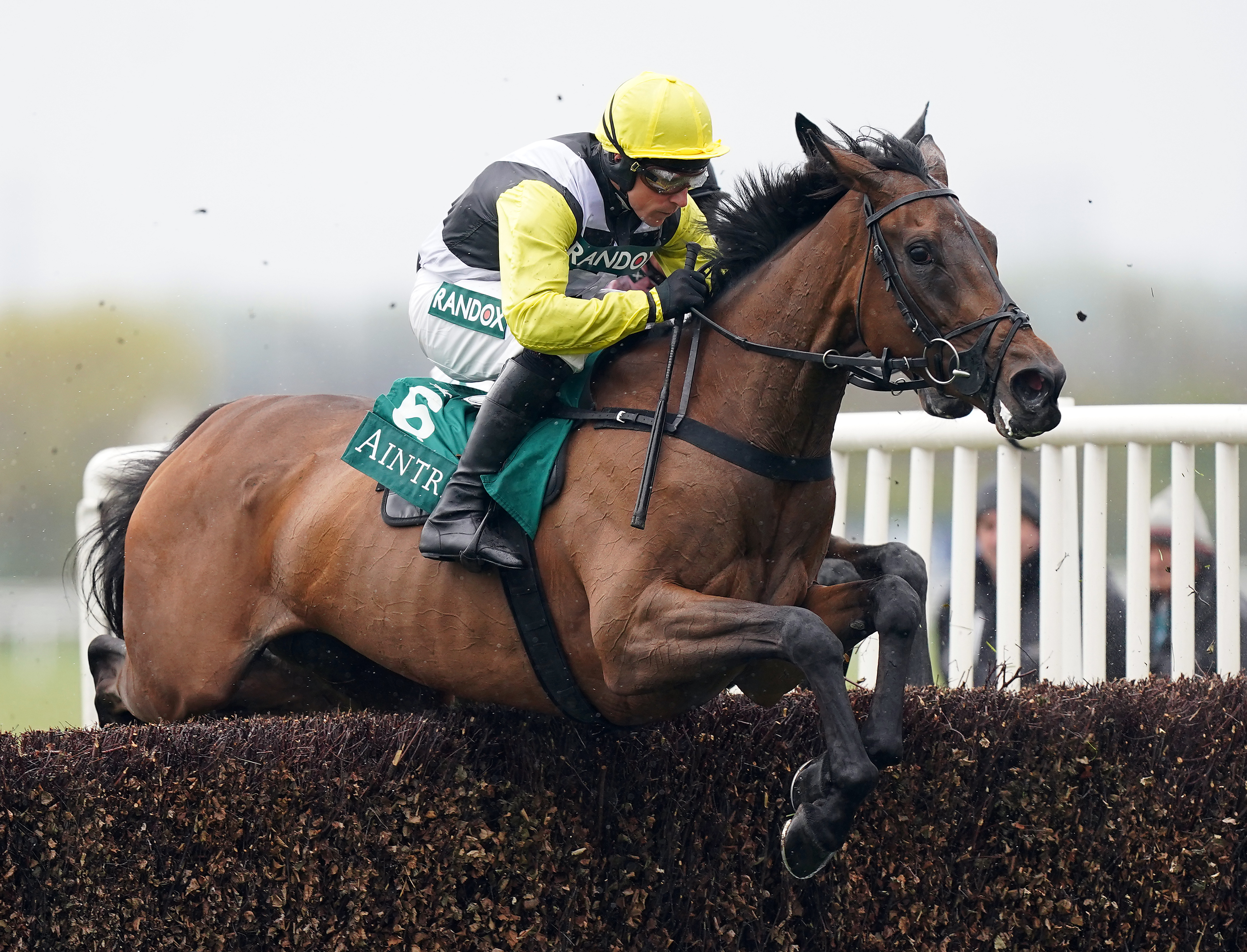 Galia Des Liteaux is being aimed at the Grand National