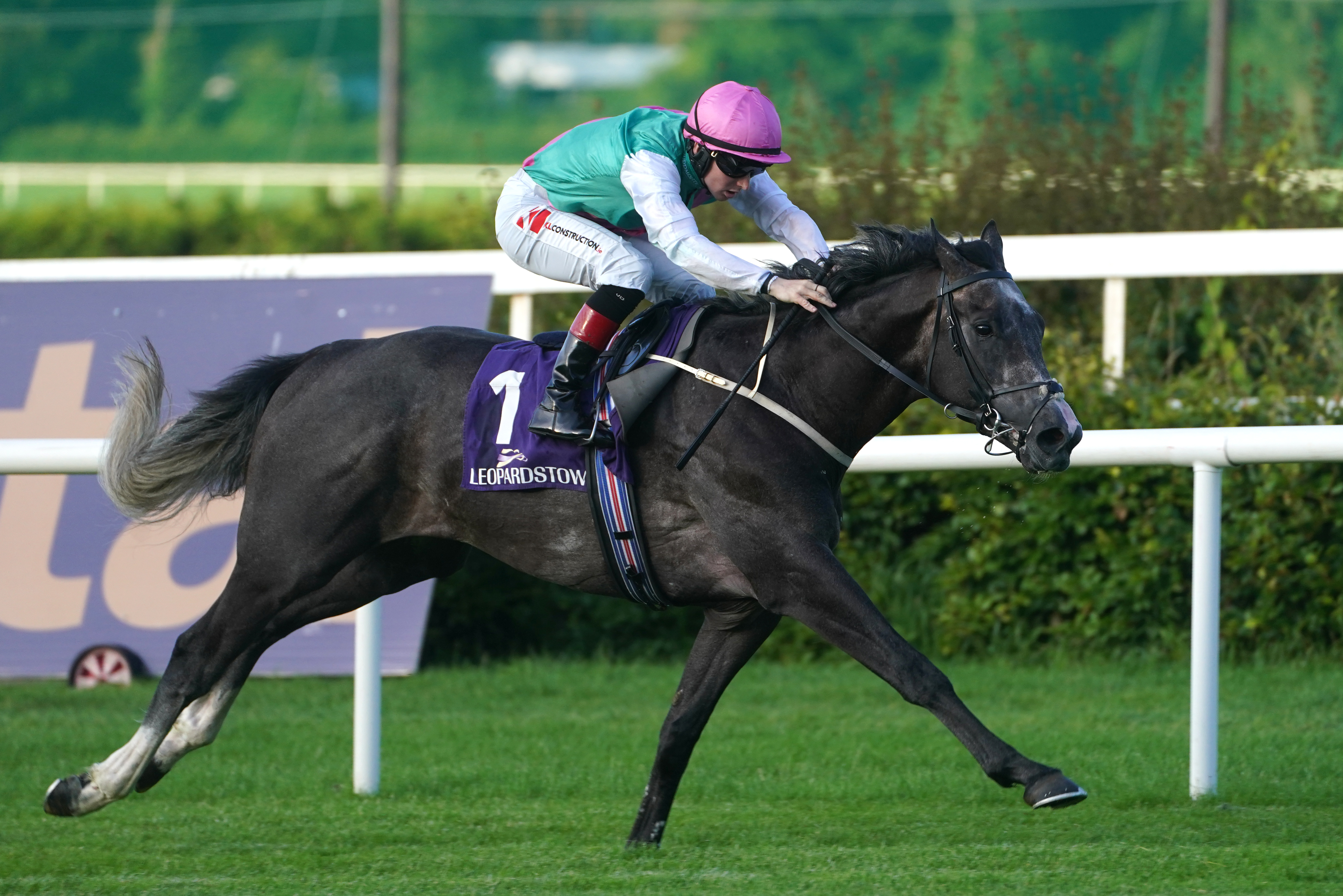 Waltham has been seriously impressive twice at Leopardstown