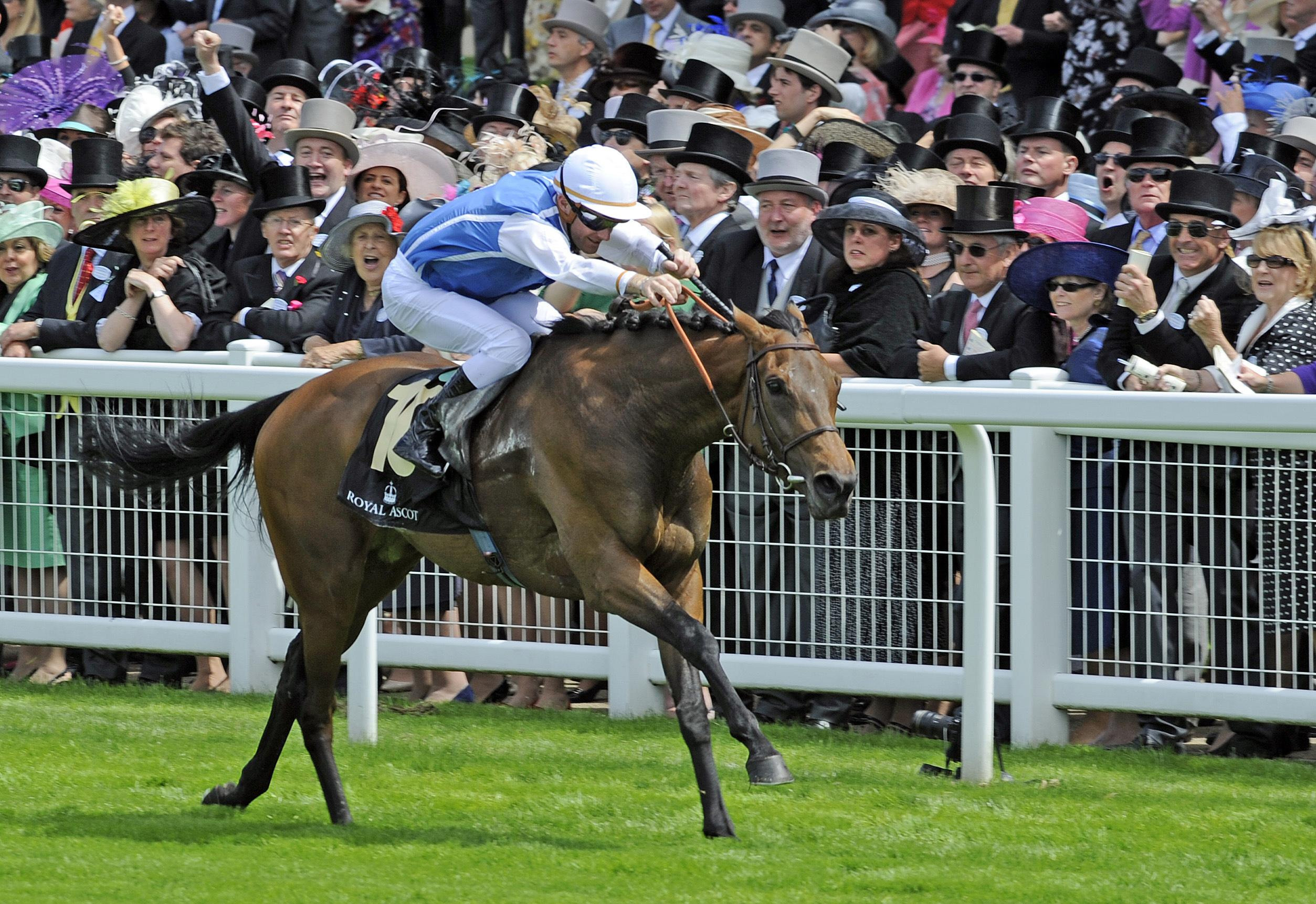 Goldikova was a Royal Ascot winner for Olivier Peslier