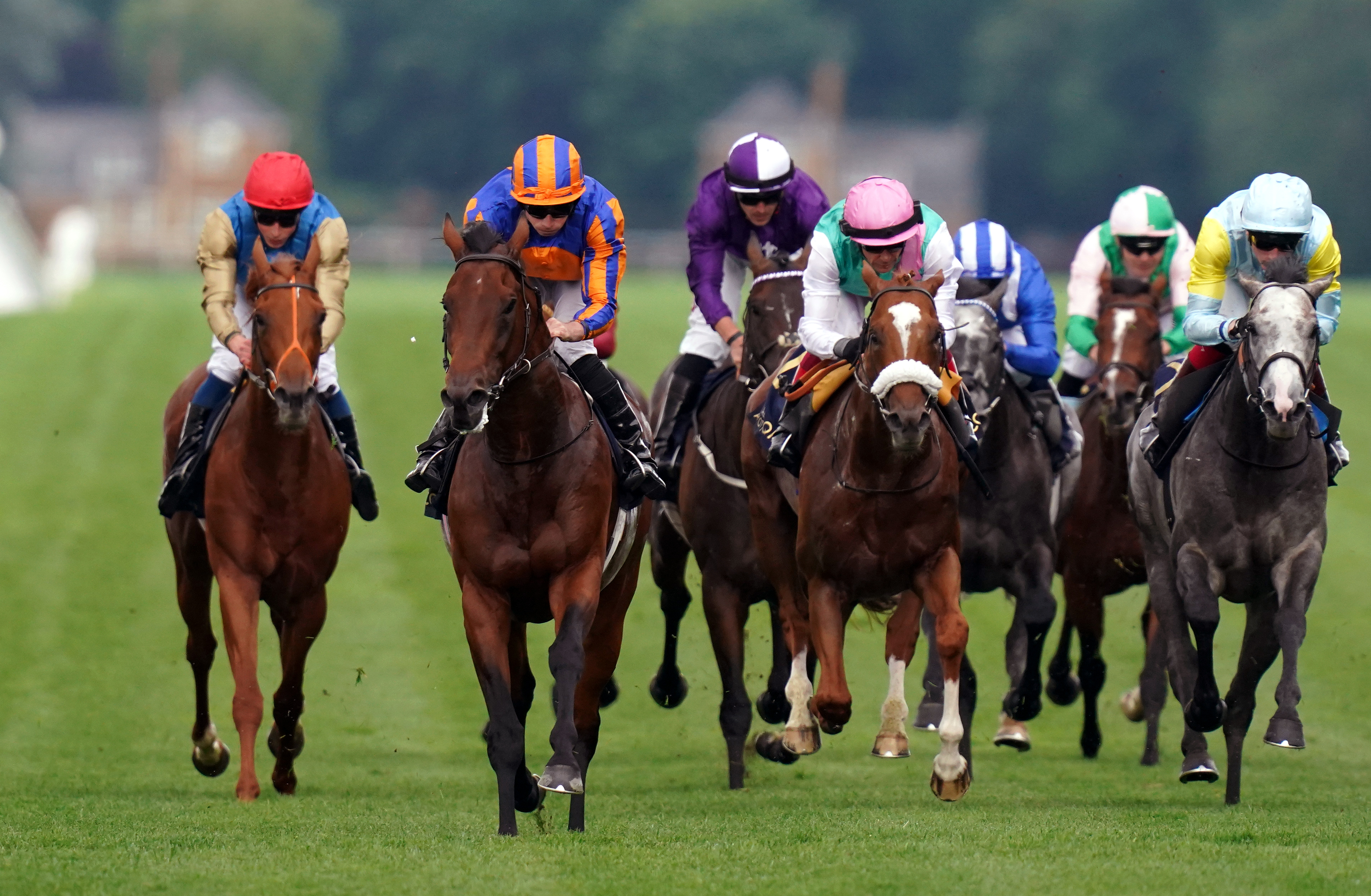 Chaldean (pink silks) finishing second behind Paddington at Royal Ascot