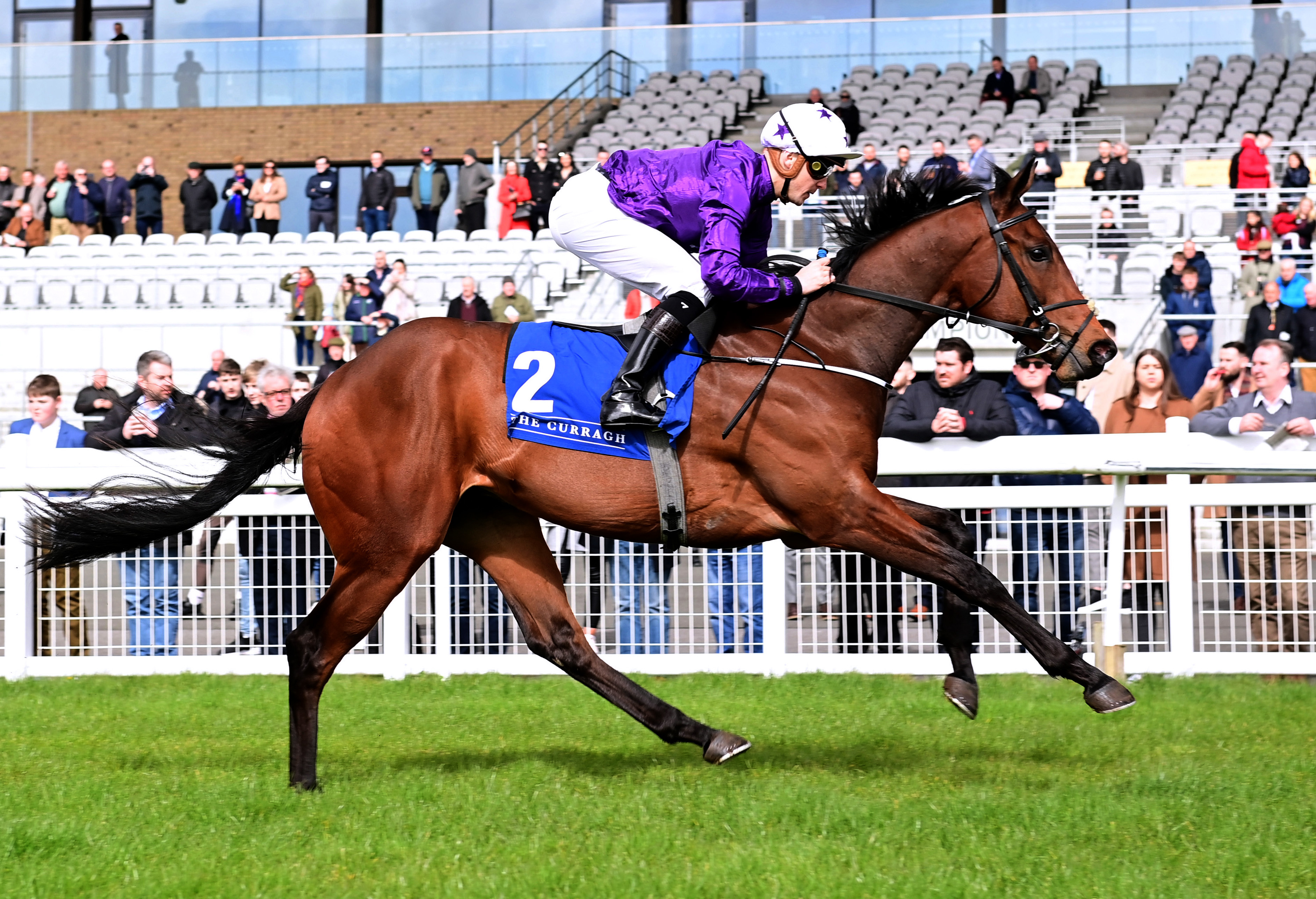Bucanero Fuerte winning in debut at the Curragh