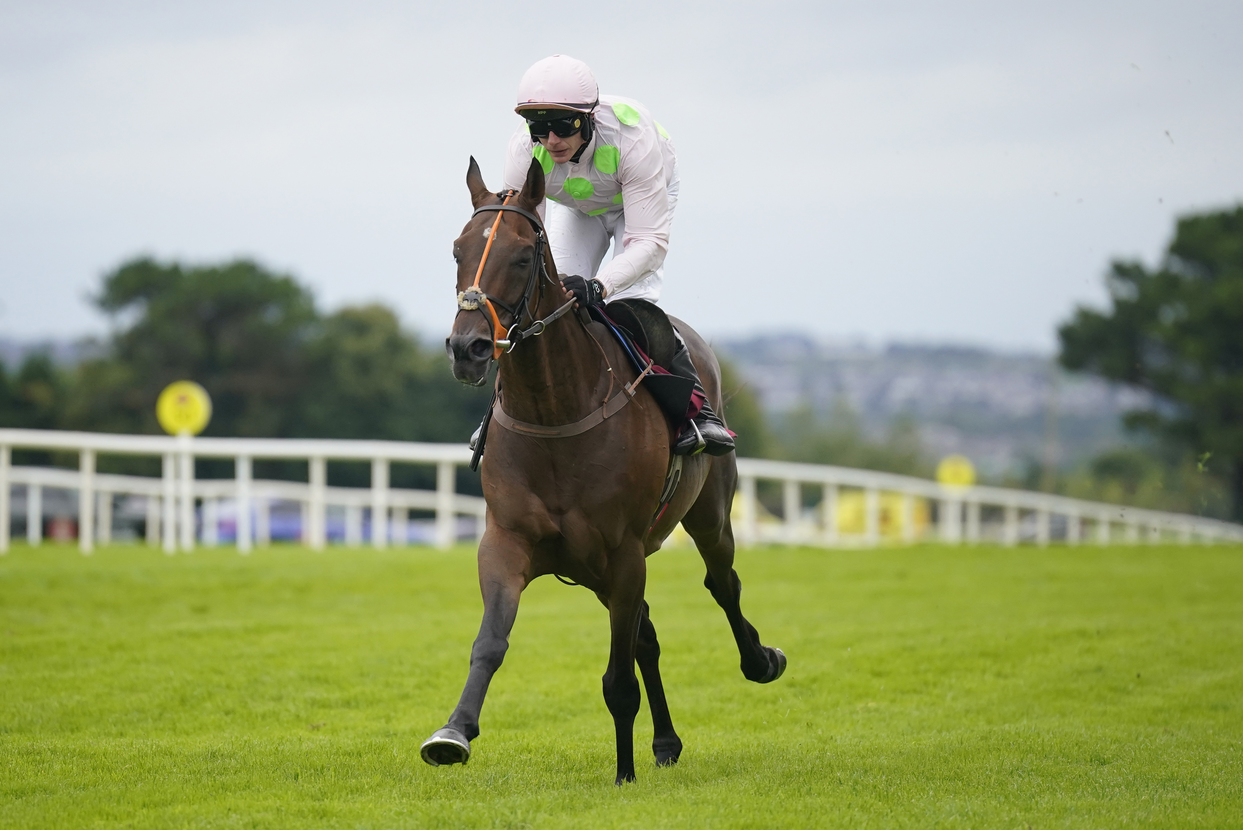 Sharjah is another potential runner at Ayr for the Mullins team