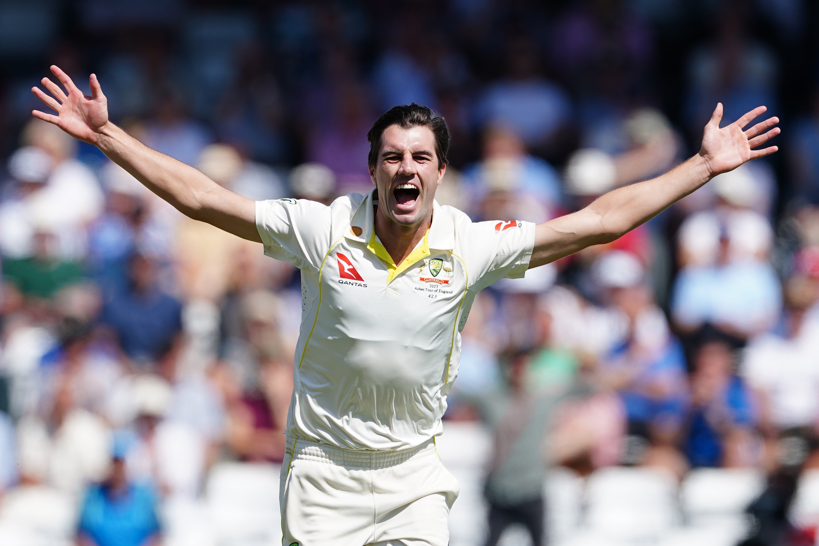 Pat Cummins celebrates the wicket of Joe Root