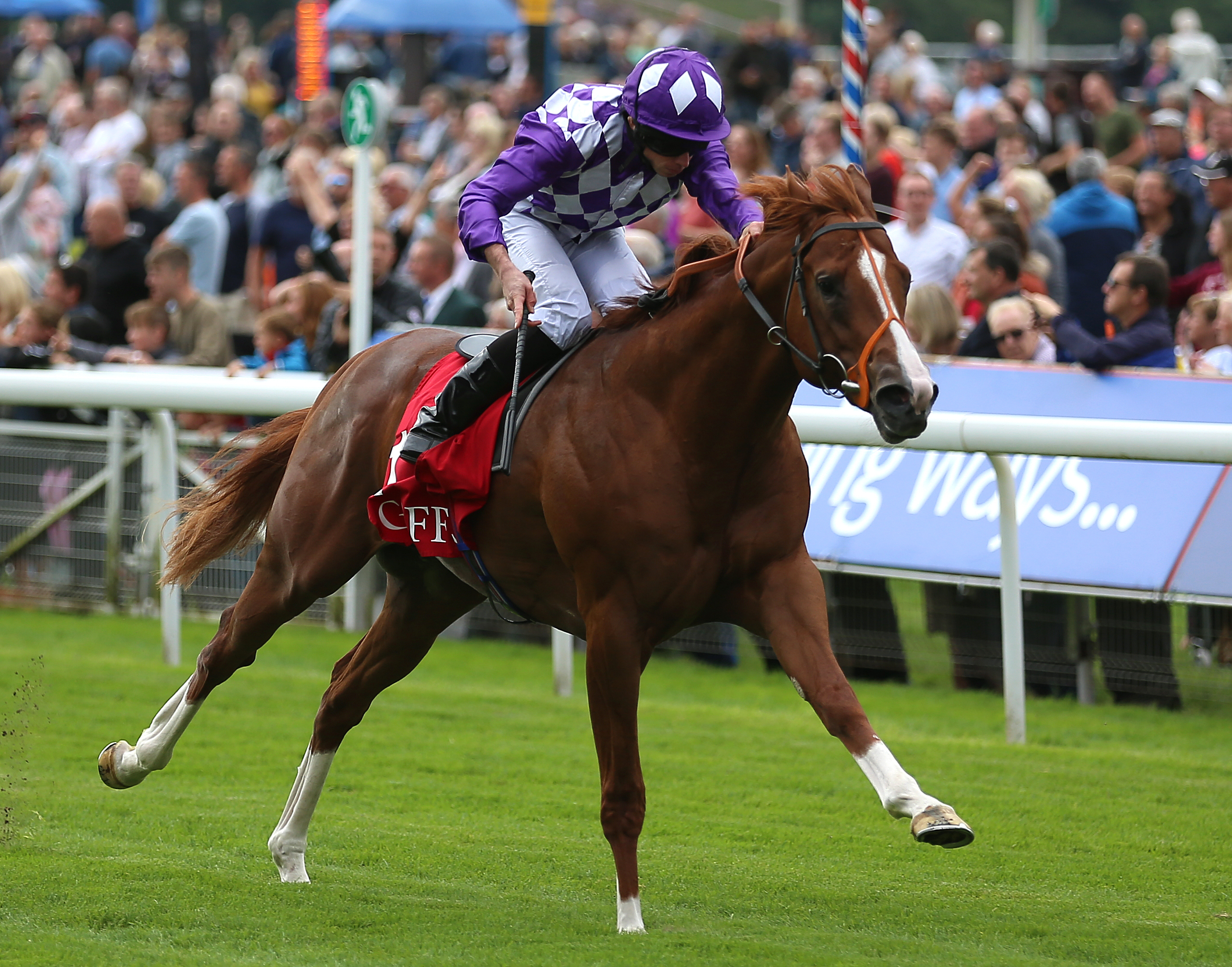 Mums Tipple is a proven operator at the level