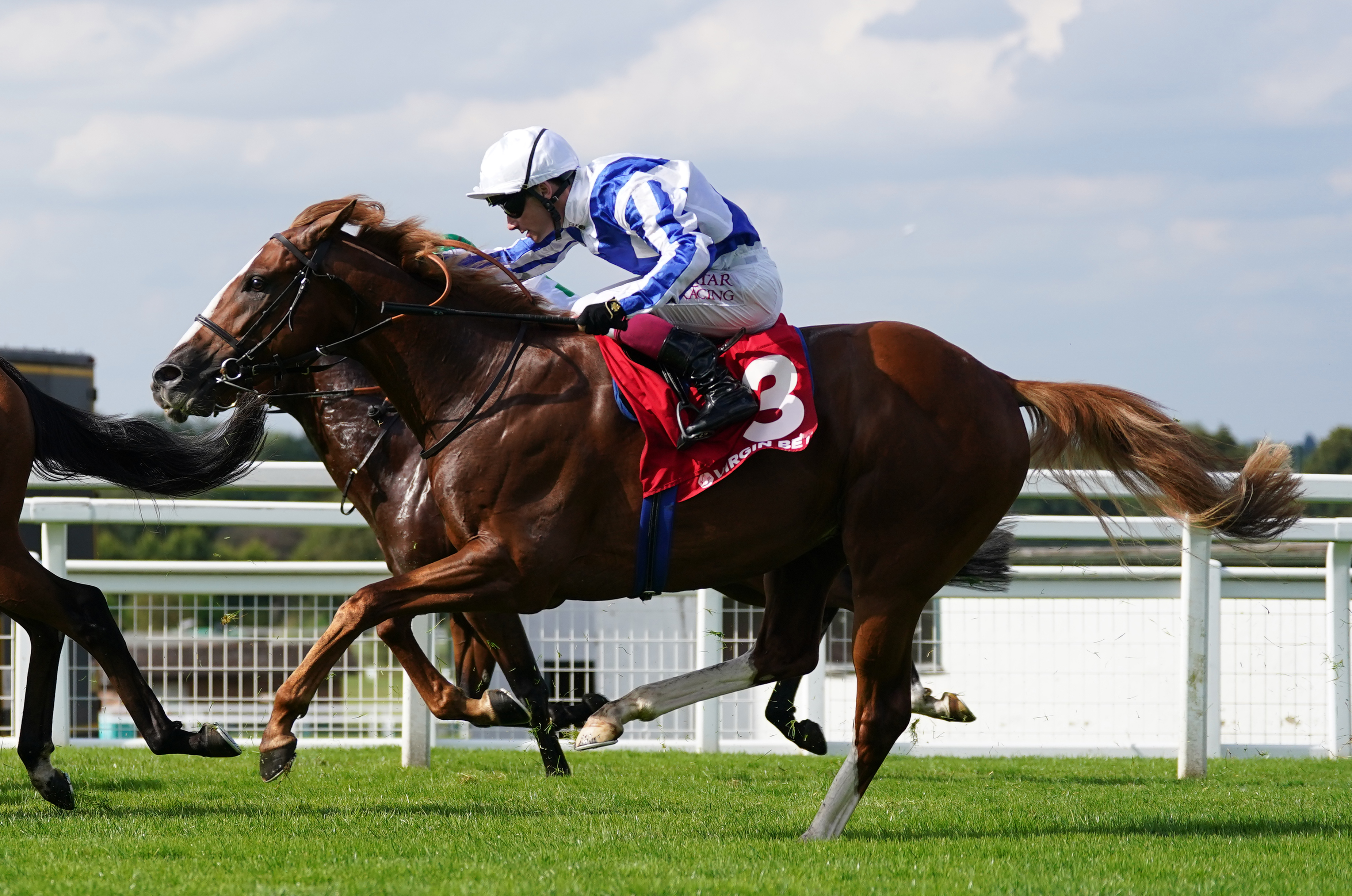 Devil’s Point during the Virgin Bet Solario Stakes