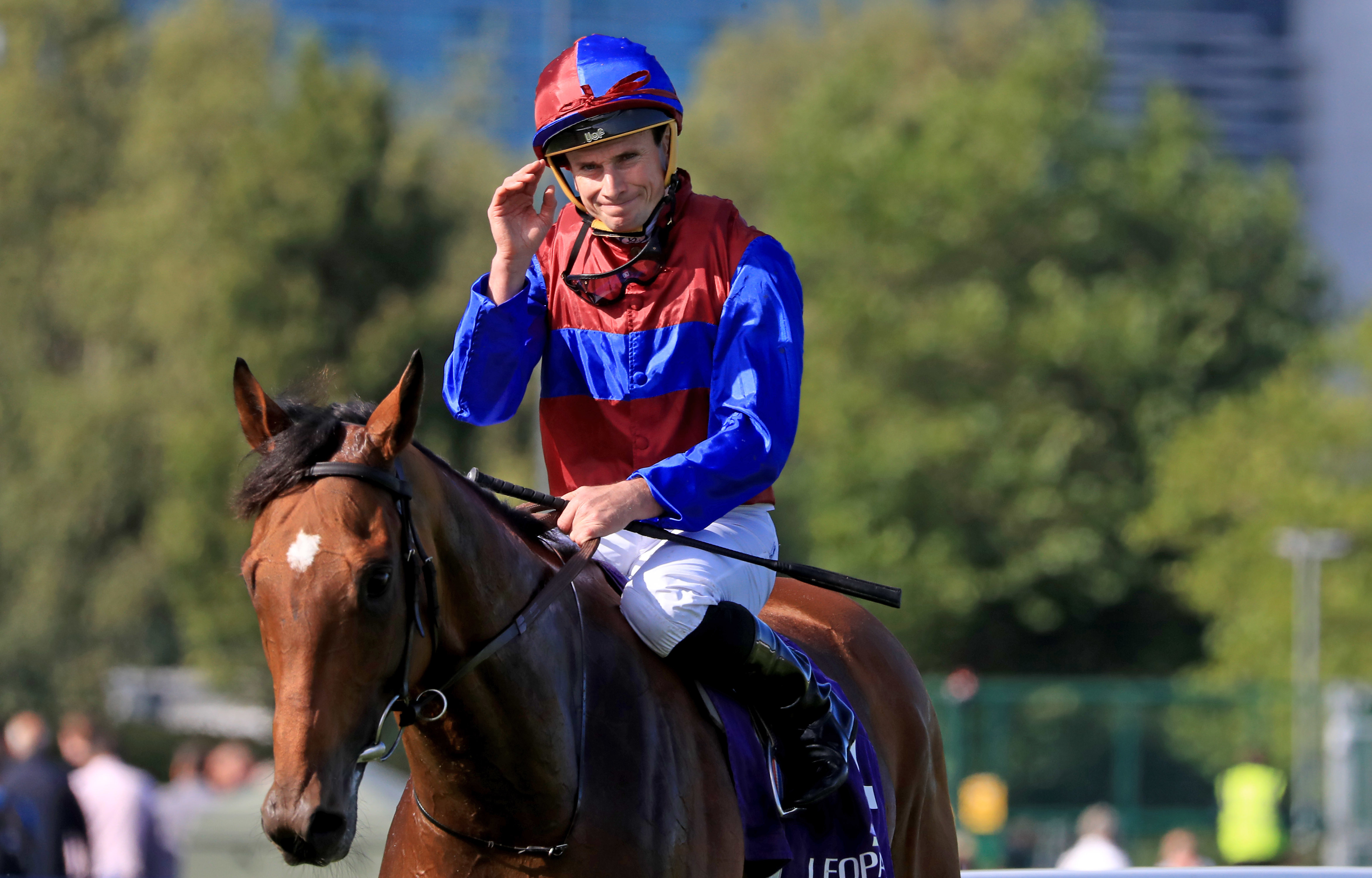 Luxembourg is a top-class horse in his own right