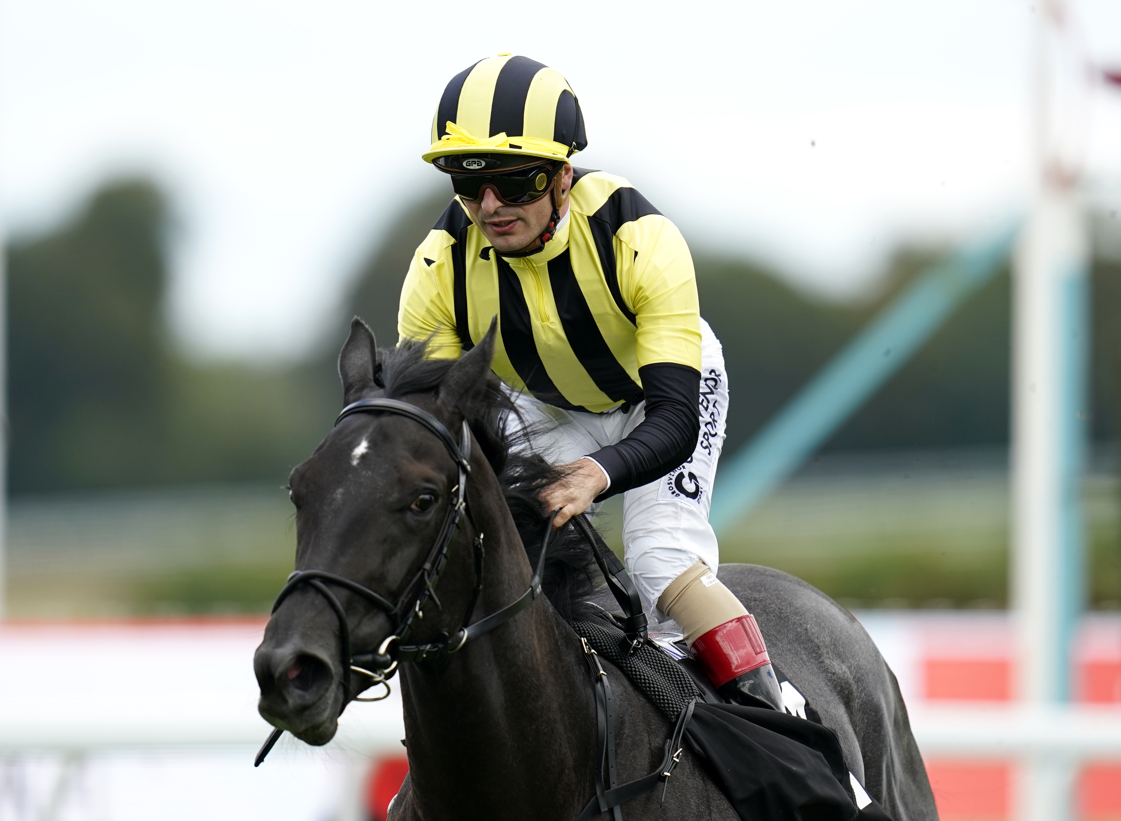 Vandeek and Andrea Atzeni scoring at Goodwood
