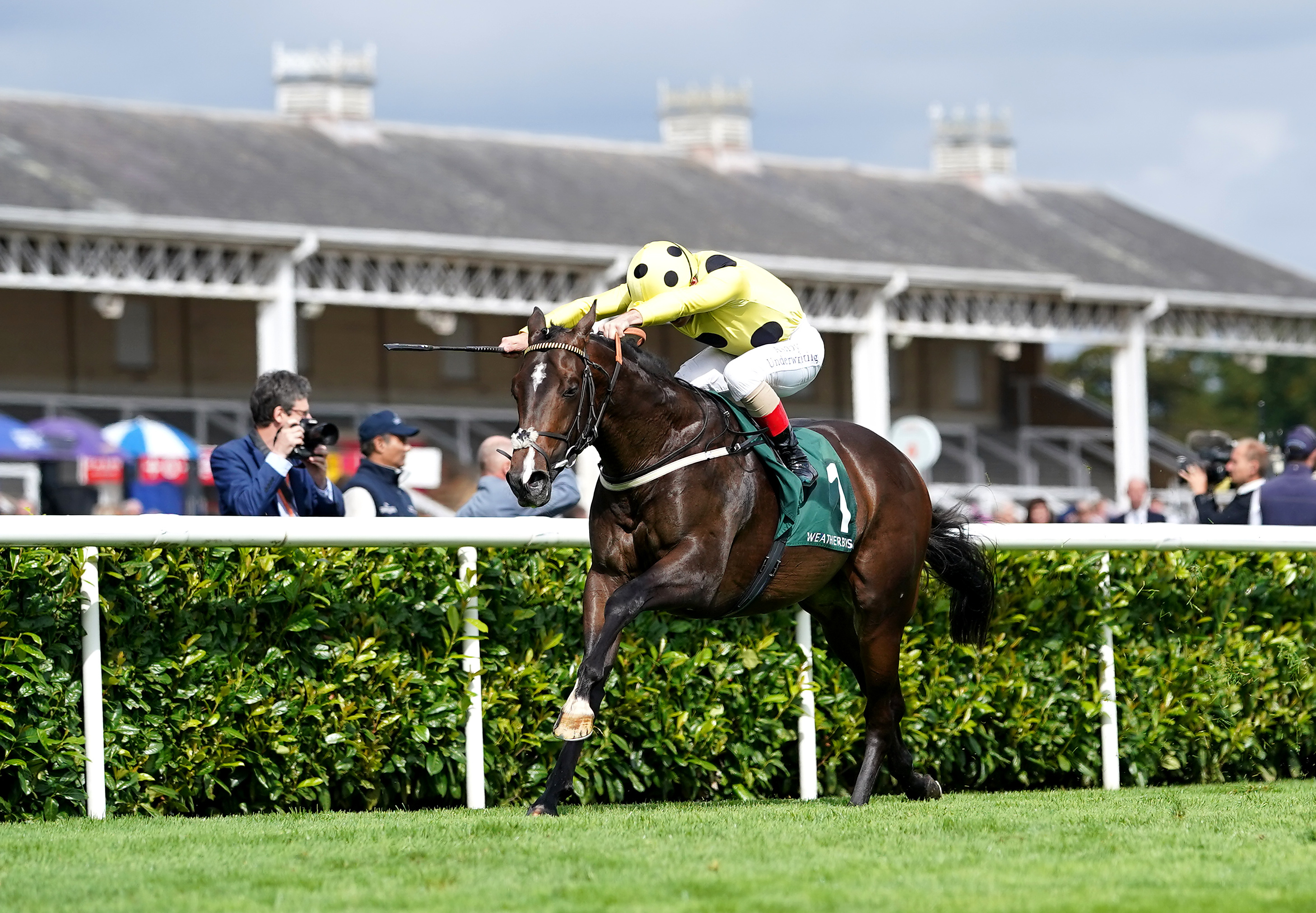 Cold Case is one of two runners for Karl Burke