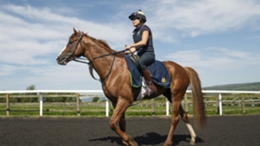 Dubai Mile ridden by Emma Bedford near Charlie Johnston’s yard at Kingsley Park Farm, Middleham. Picture date: Wednesday May 24, 2023. (Danny Lawson/PA)