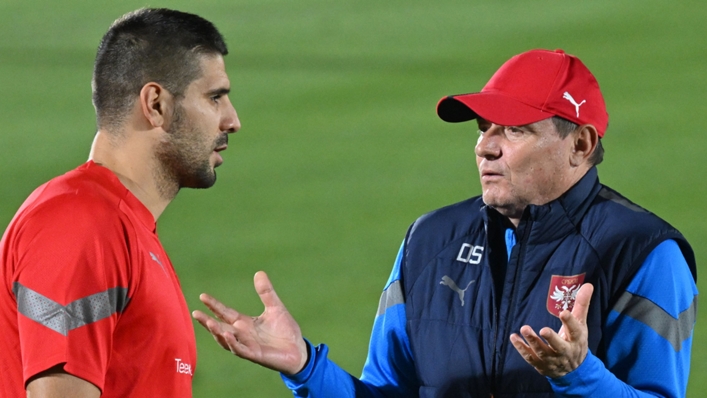 Aleksandar Mitrovic scored the goal to secure Serbia's spot in Qatar