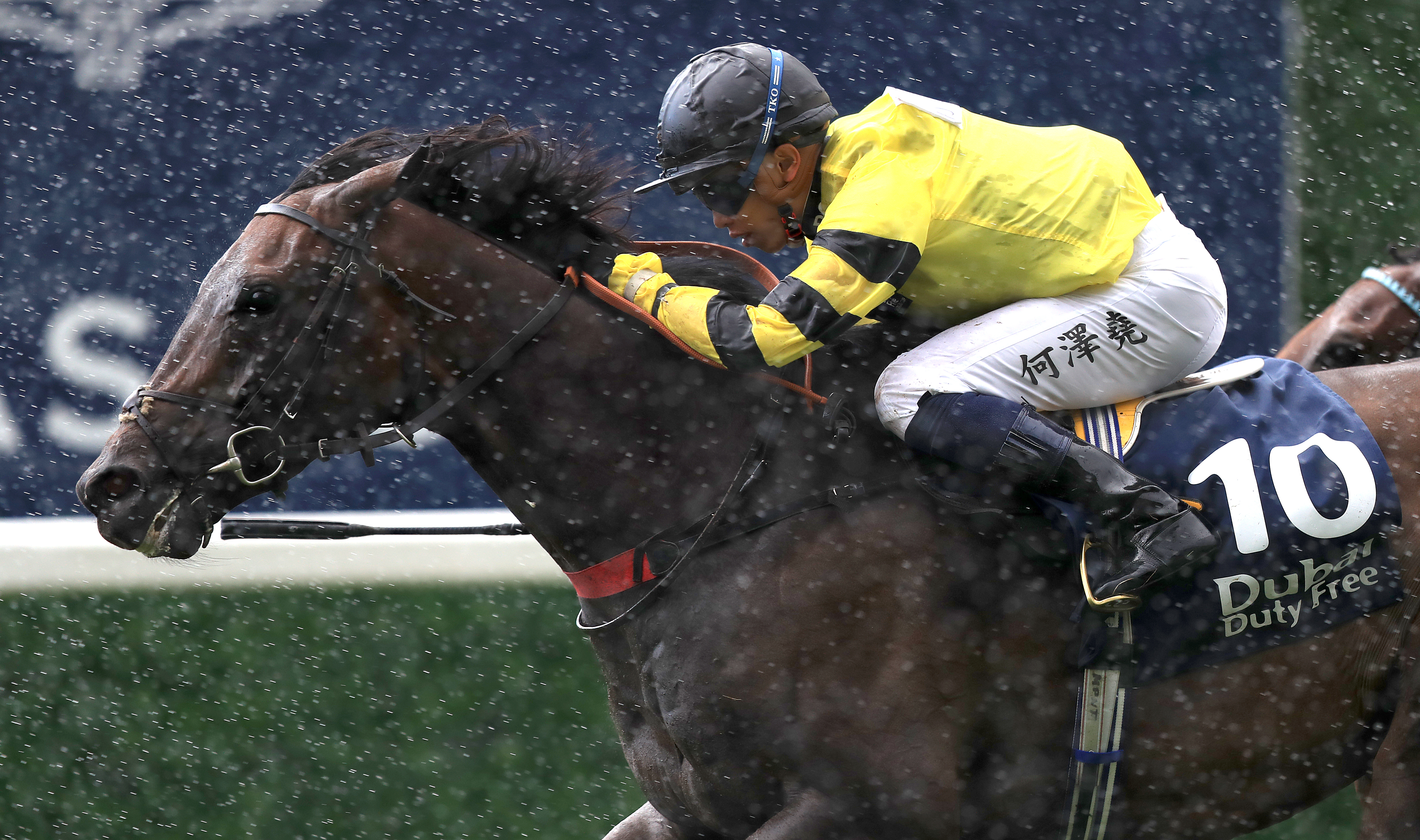 Vincent Ho in action at the 2019 Shergar Cup