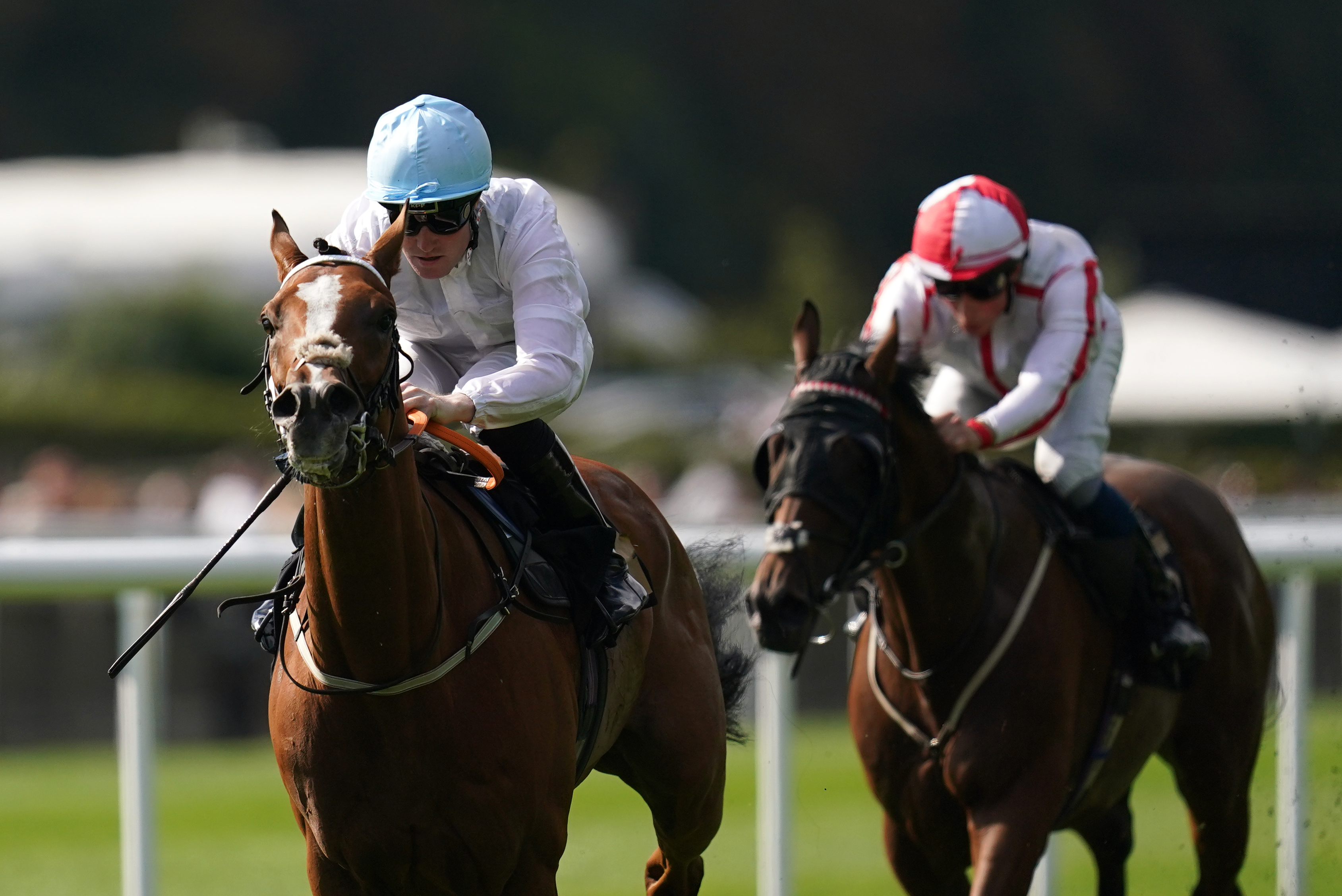 Cemhaan has shown some very useful form in the UK