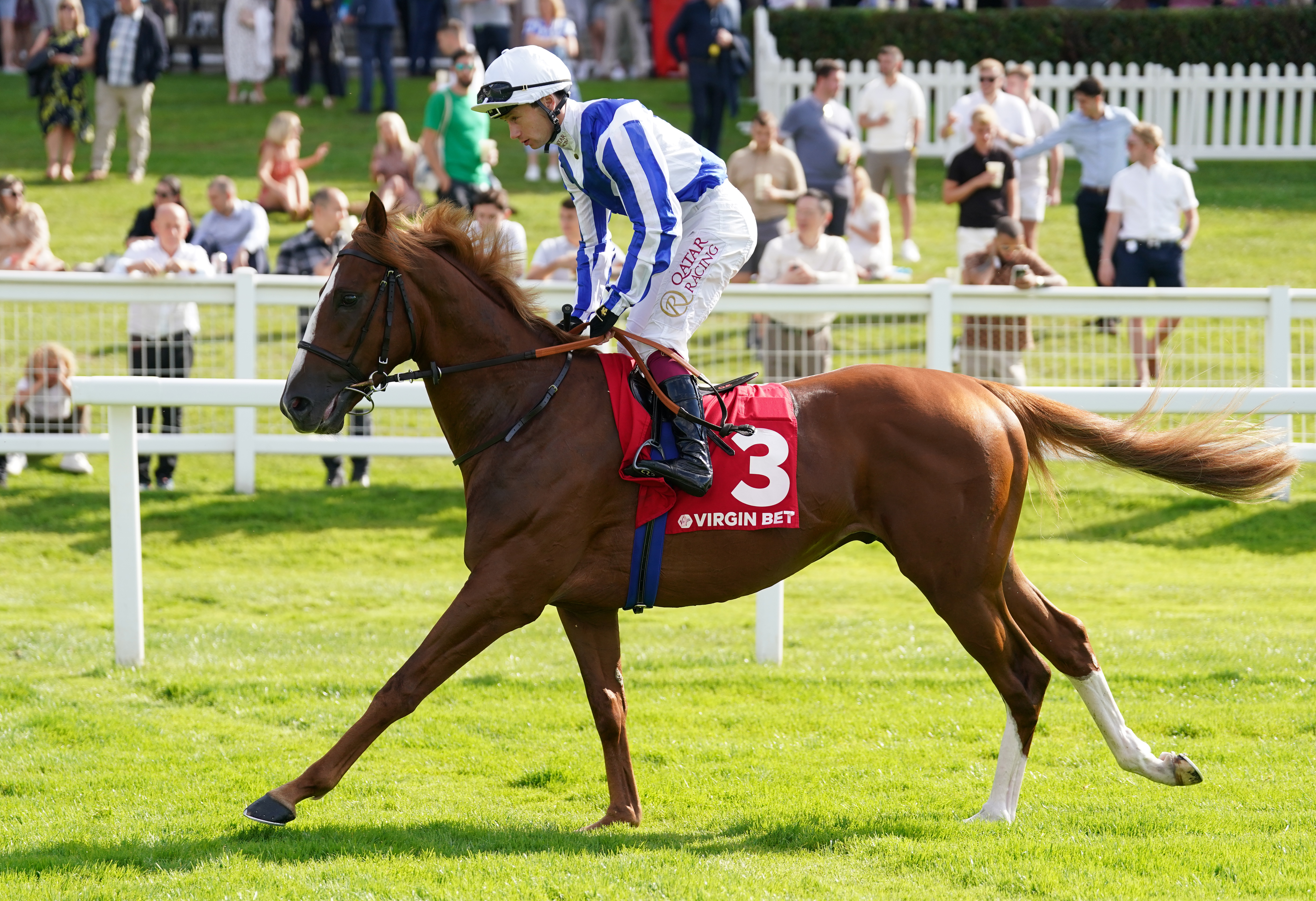 Devil’s Point goes to post at Sandown