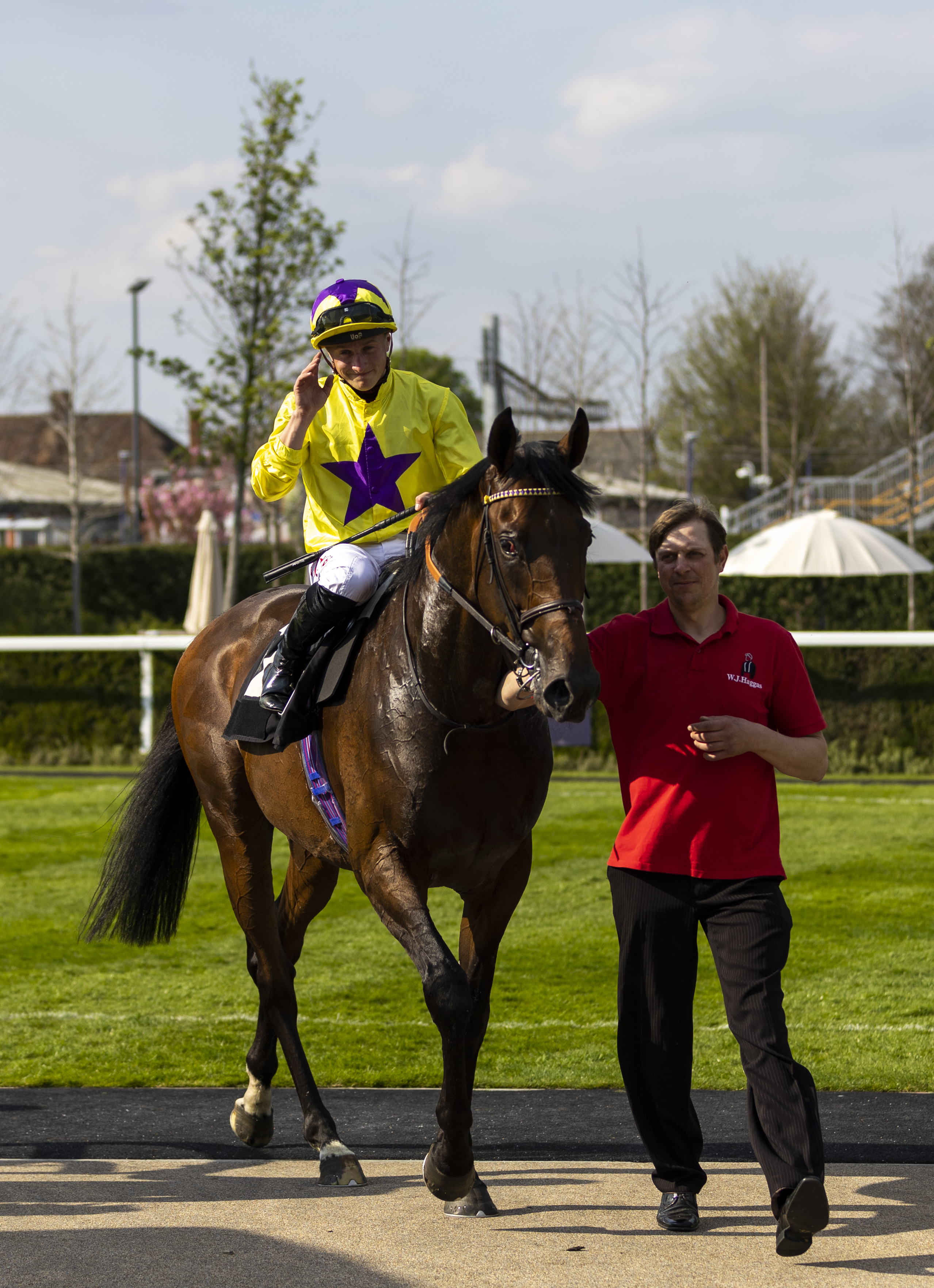 My Prospero will head to York later this month