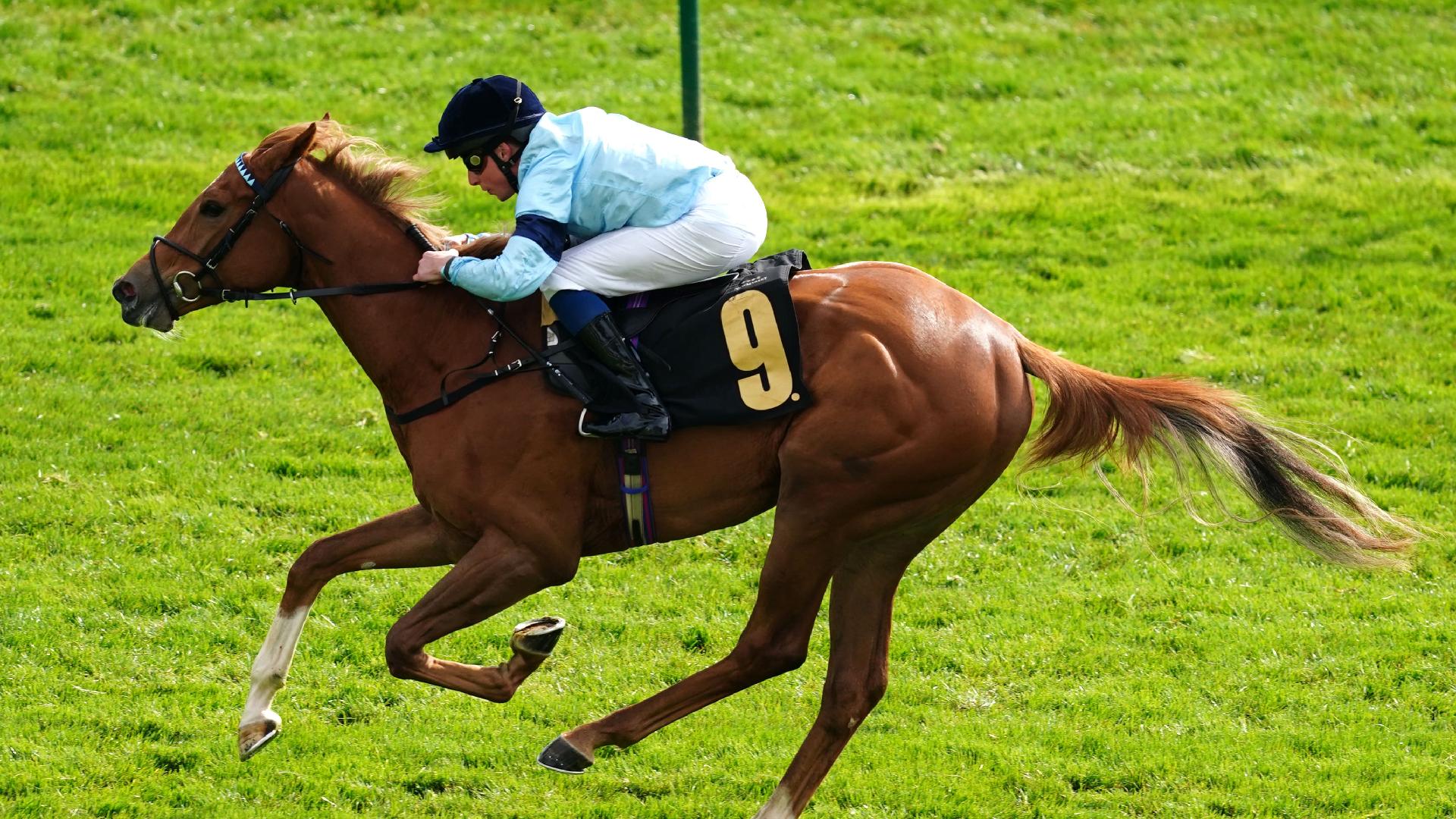 soprano-aiming-to-hit-high-note-in-star-stakes-livescore