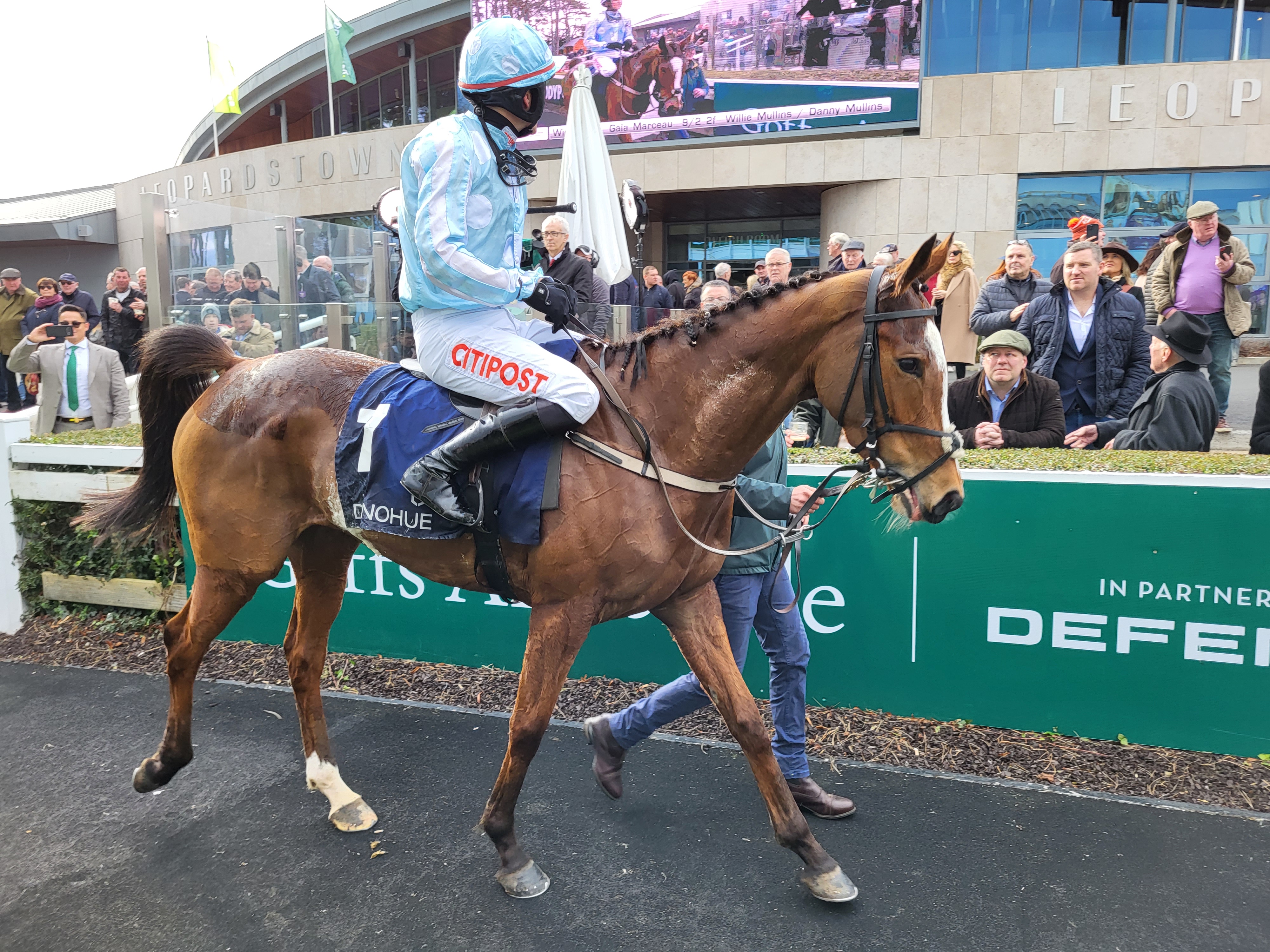 Gala Marceau won two Grade Ones last season