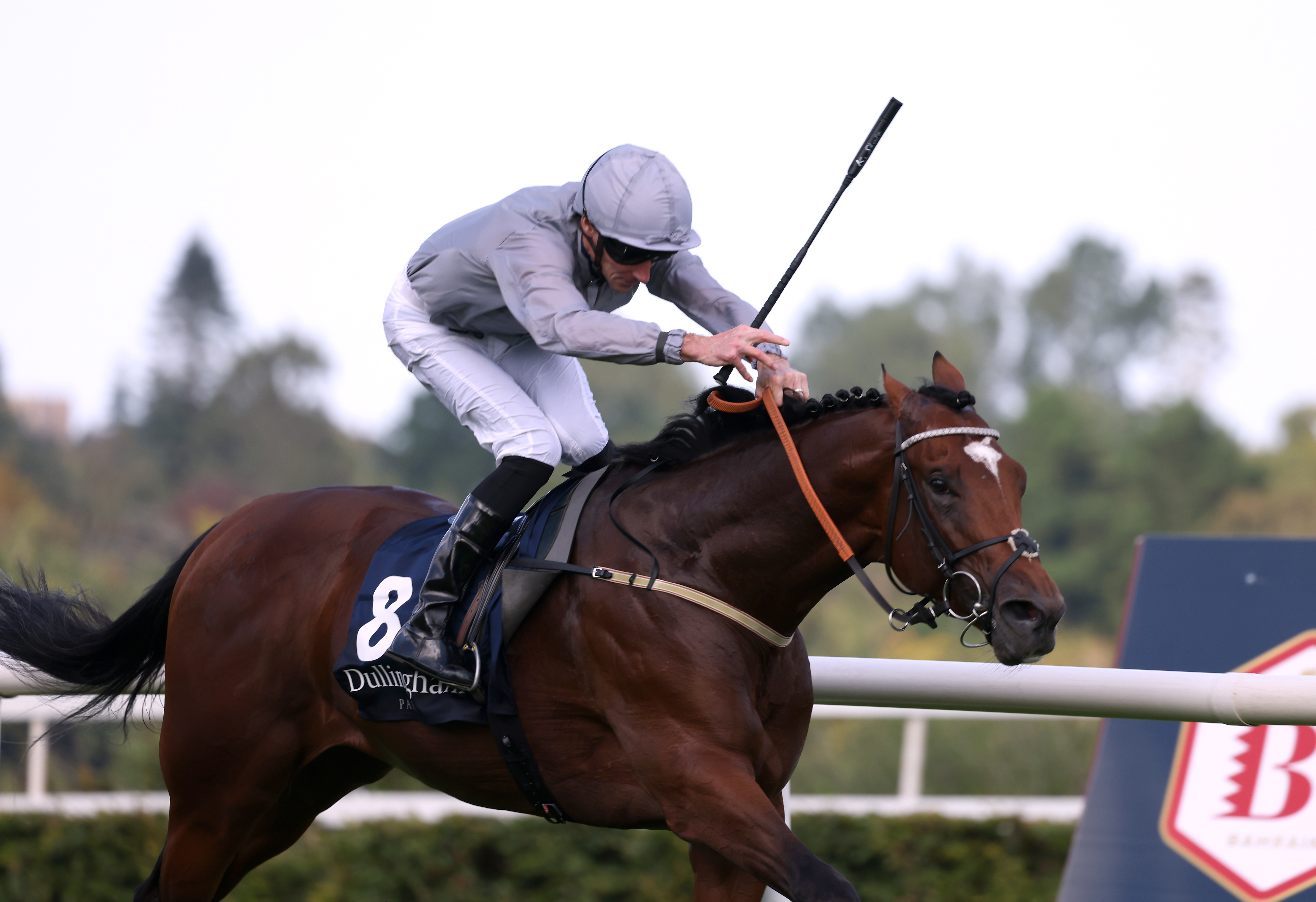 Flight Plan made all the running at Leopardstown on Saturday