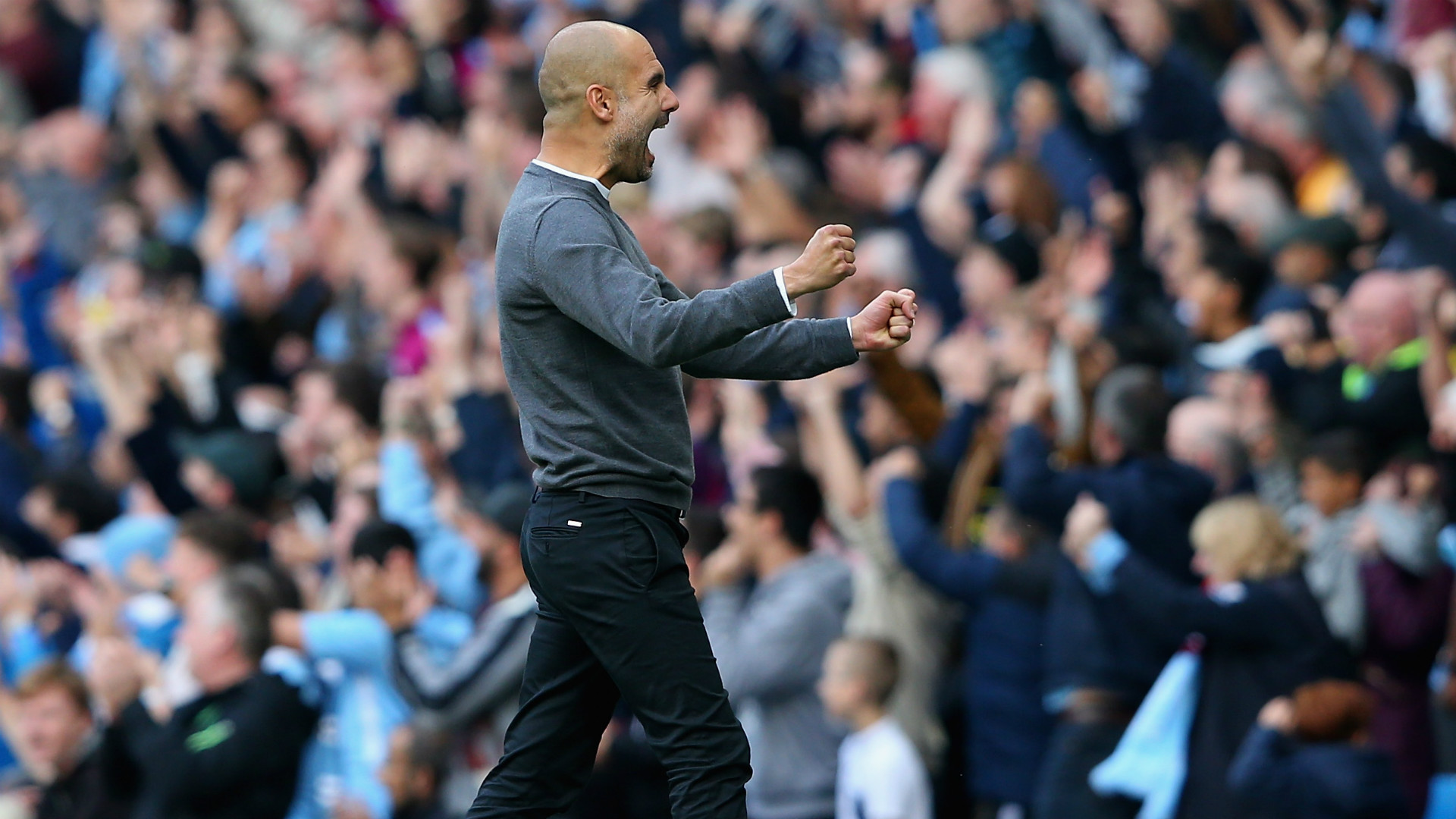 pep guardiola - cropped