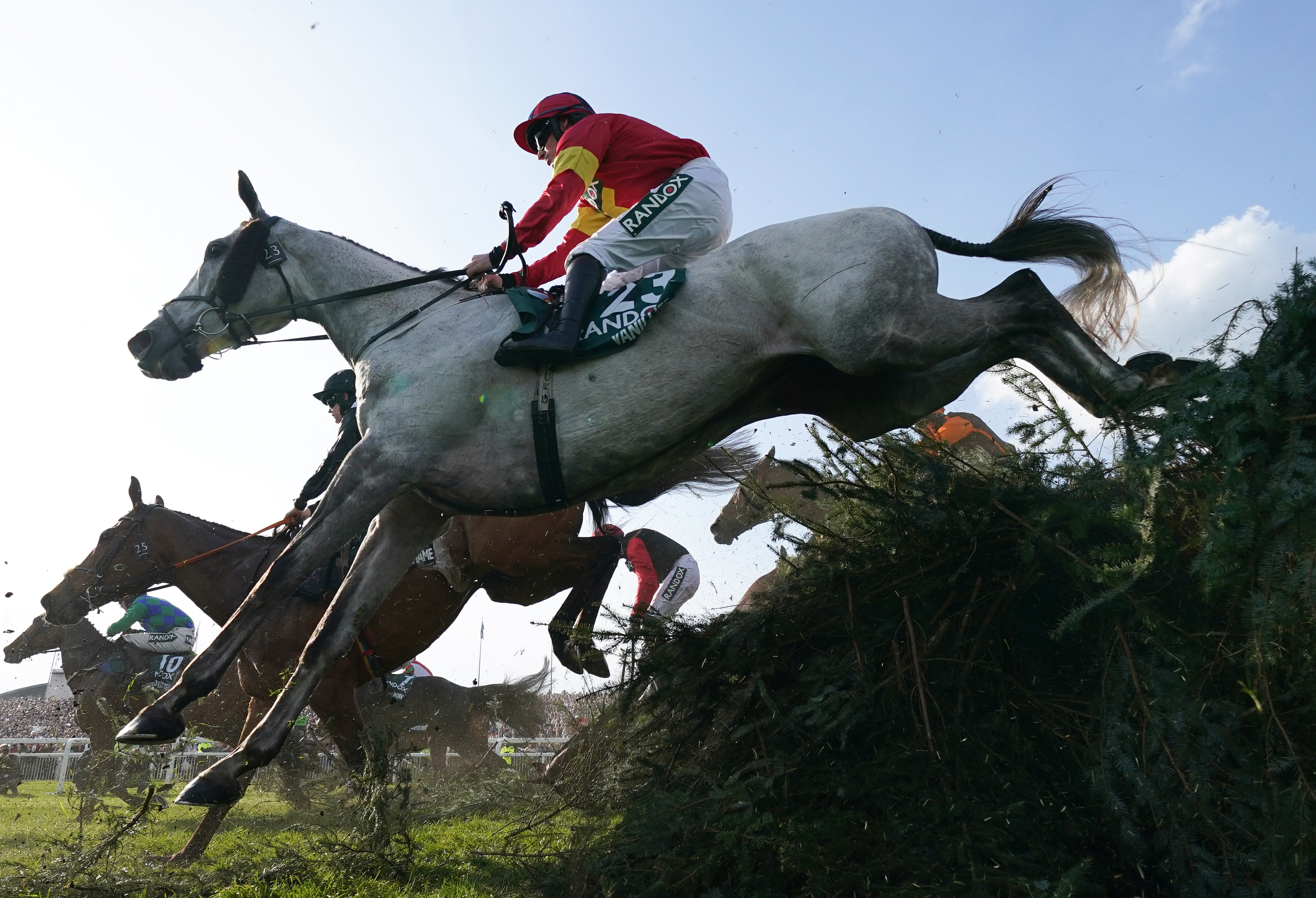 Vanillier in Grand National action last year