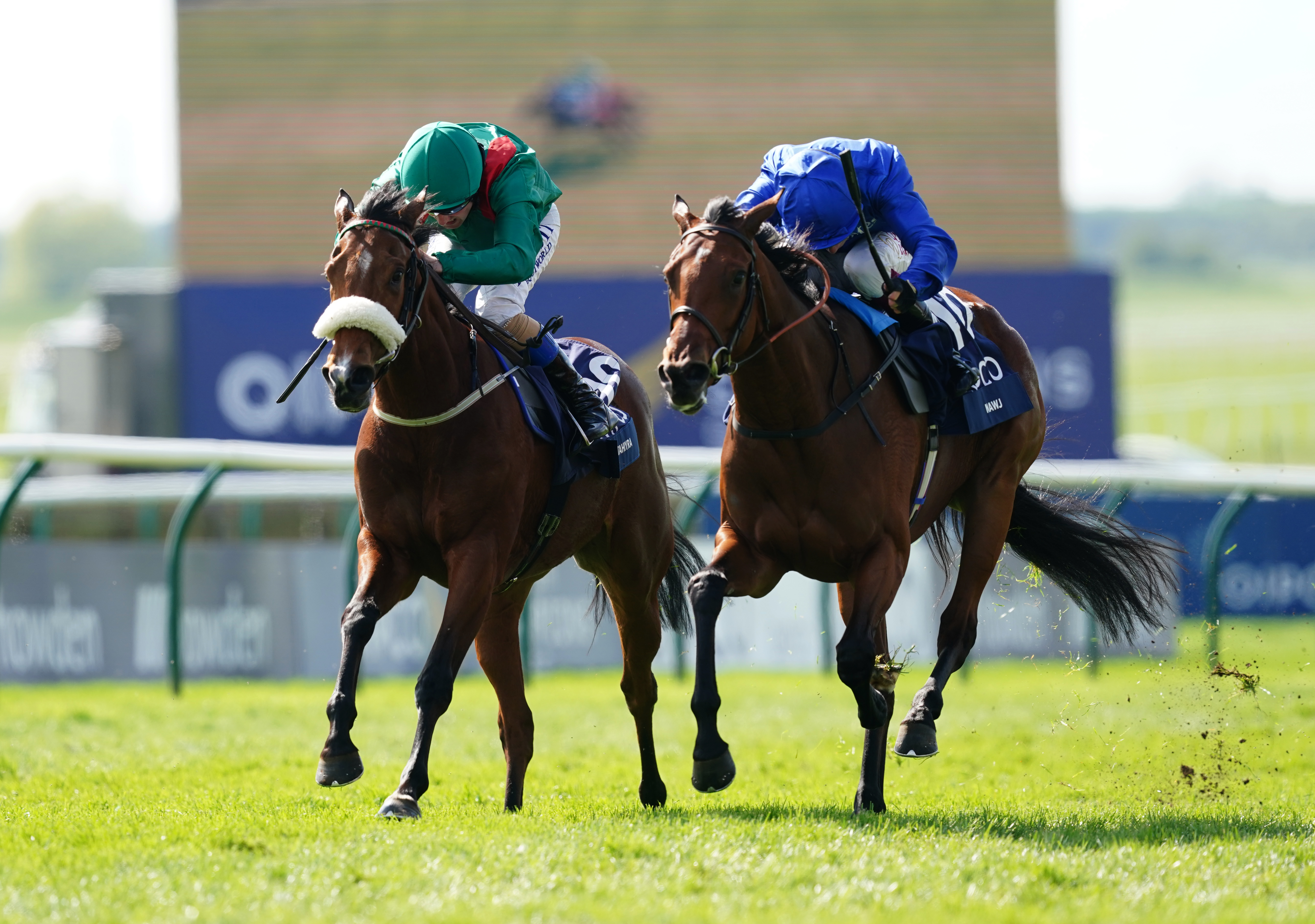 Tahiyra (left) went down narrowly to Mawj at Newmarket