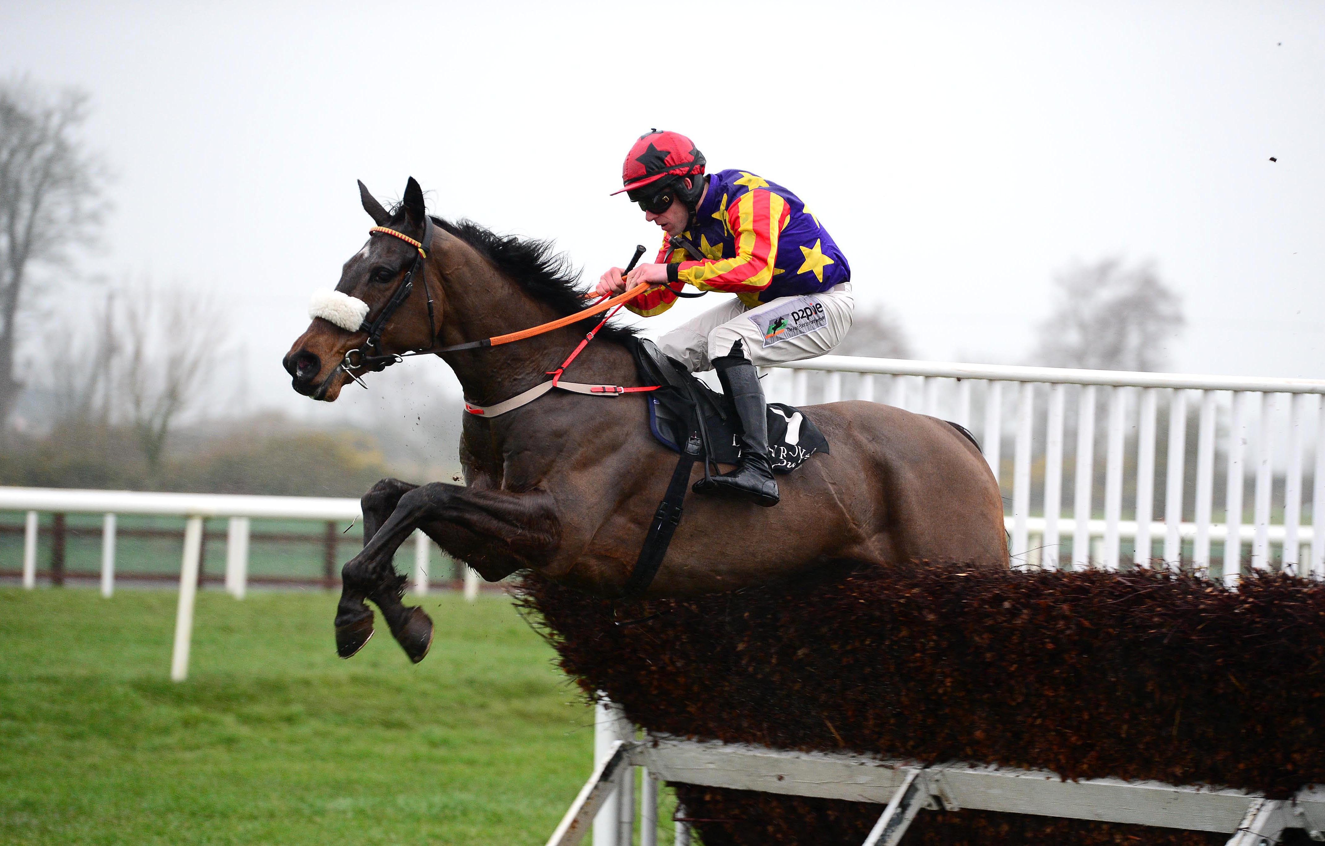 Winged Leader was just denied at Cheltenham