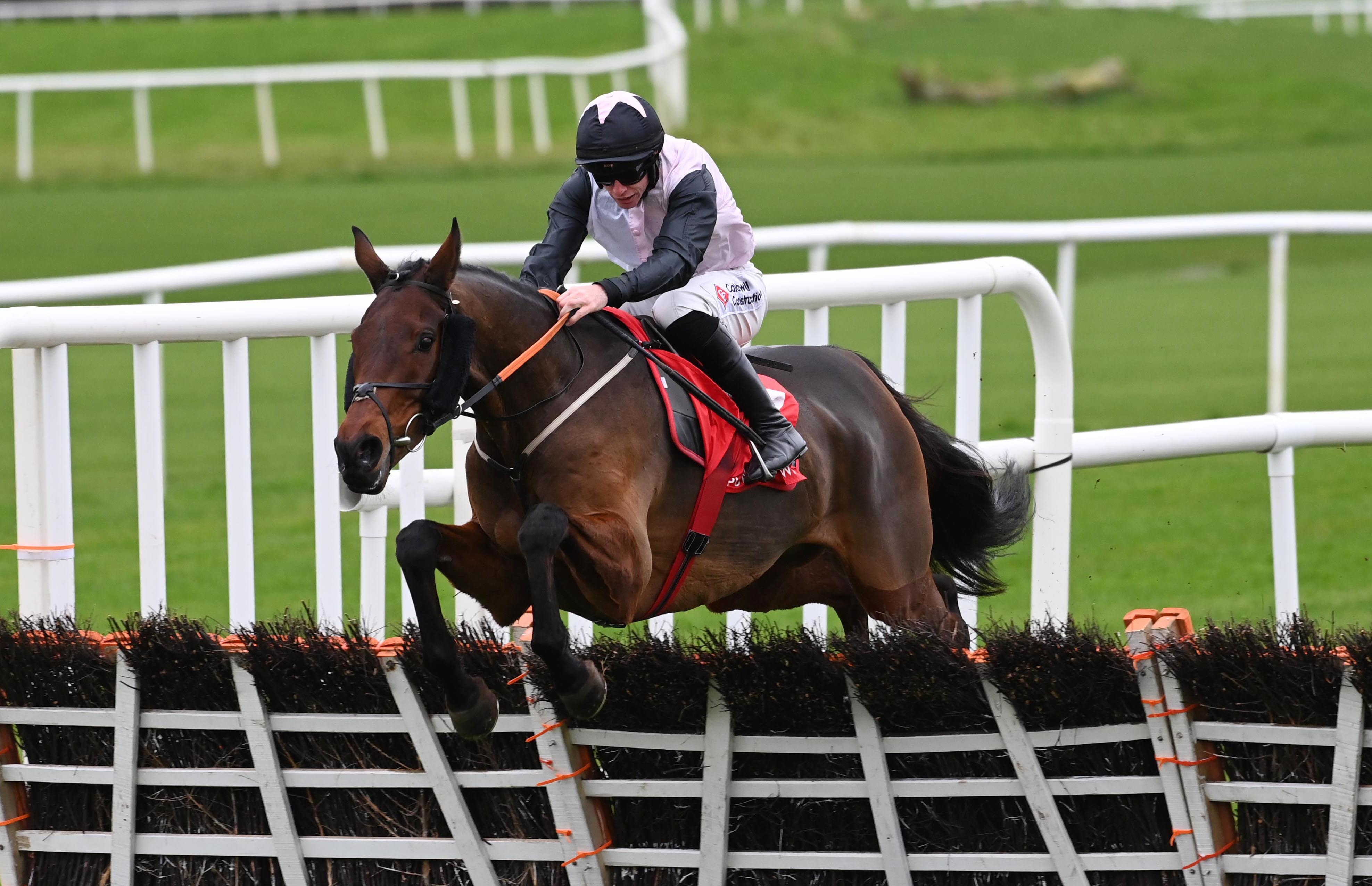 Shannon Royale in action at Punchestown